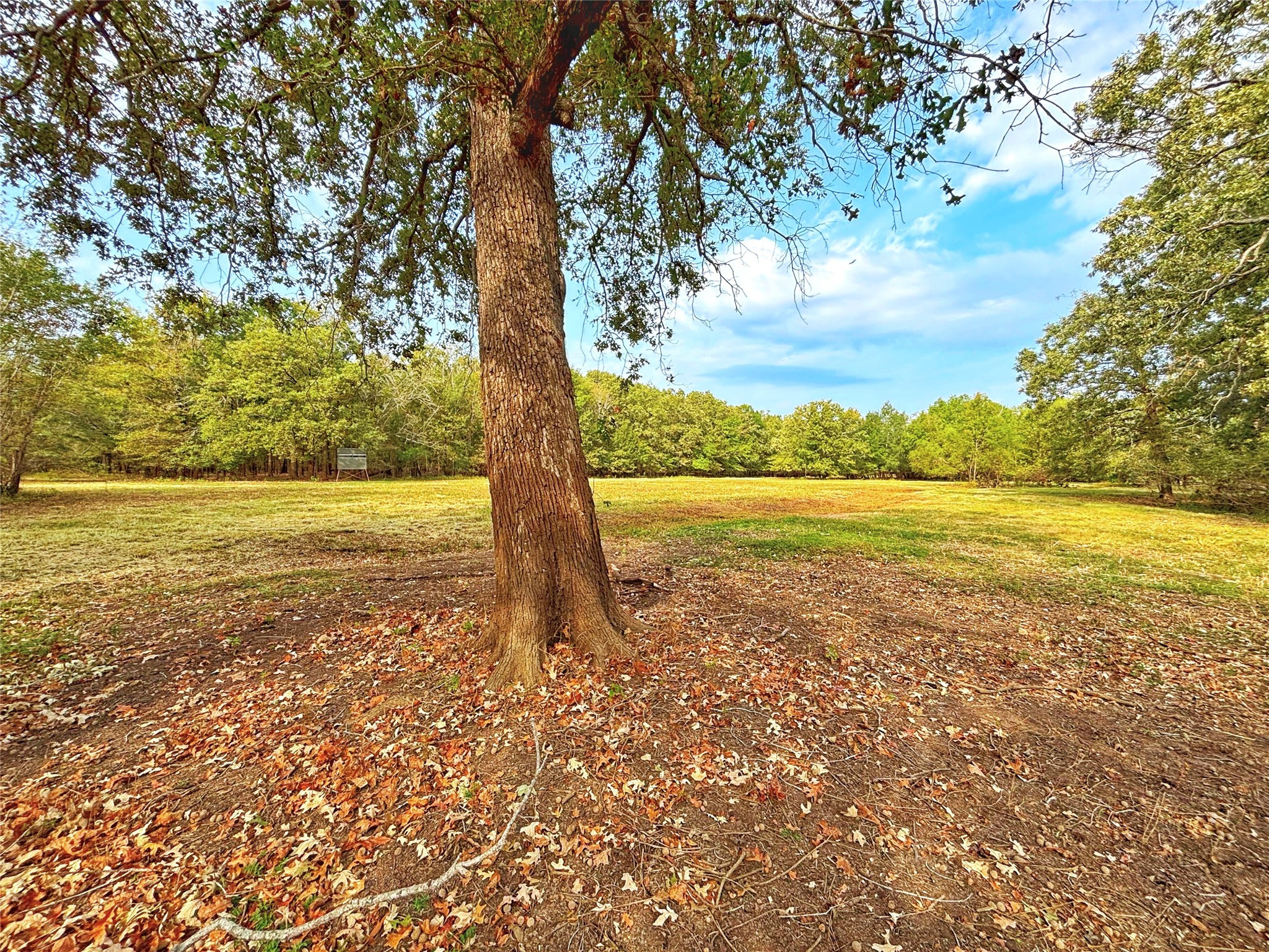 Tbd Cr 155 Property Photo 26