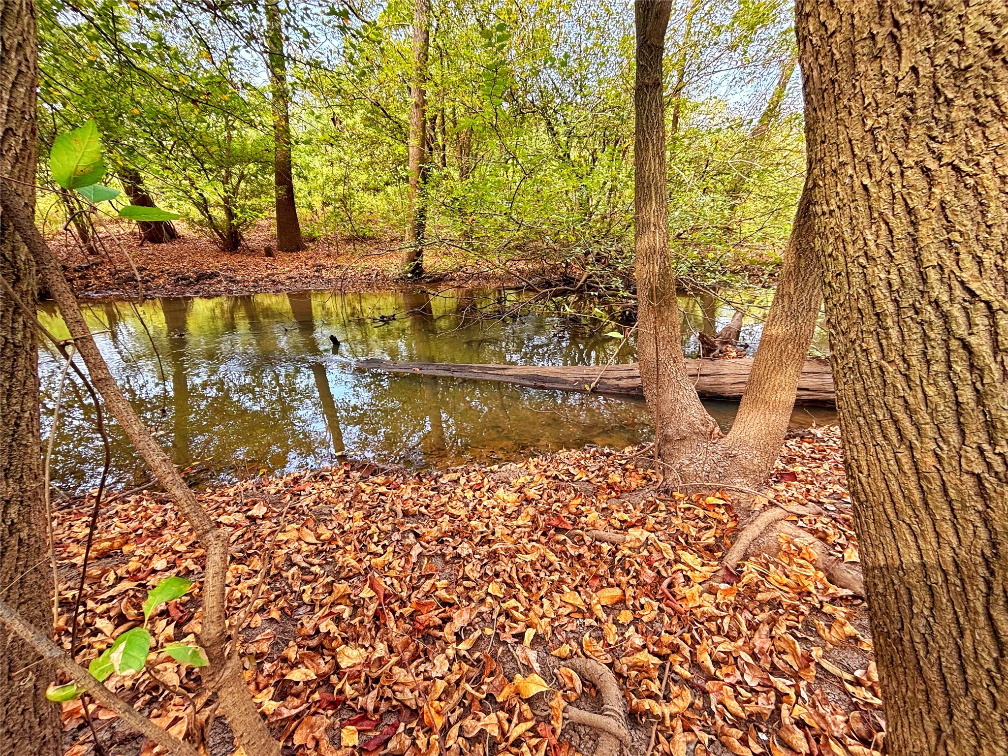 Tbd Cr 155 Property Photo 27