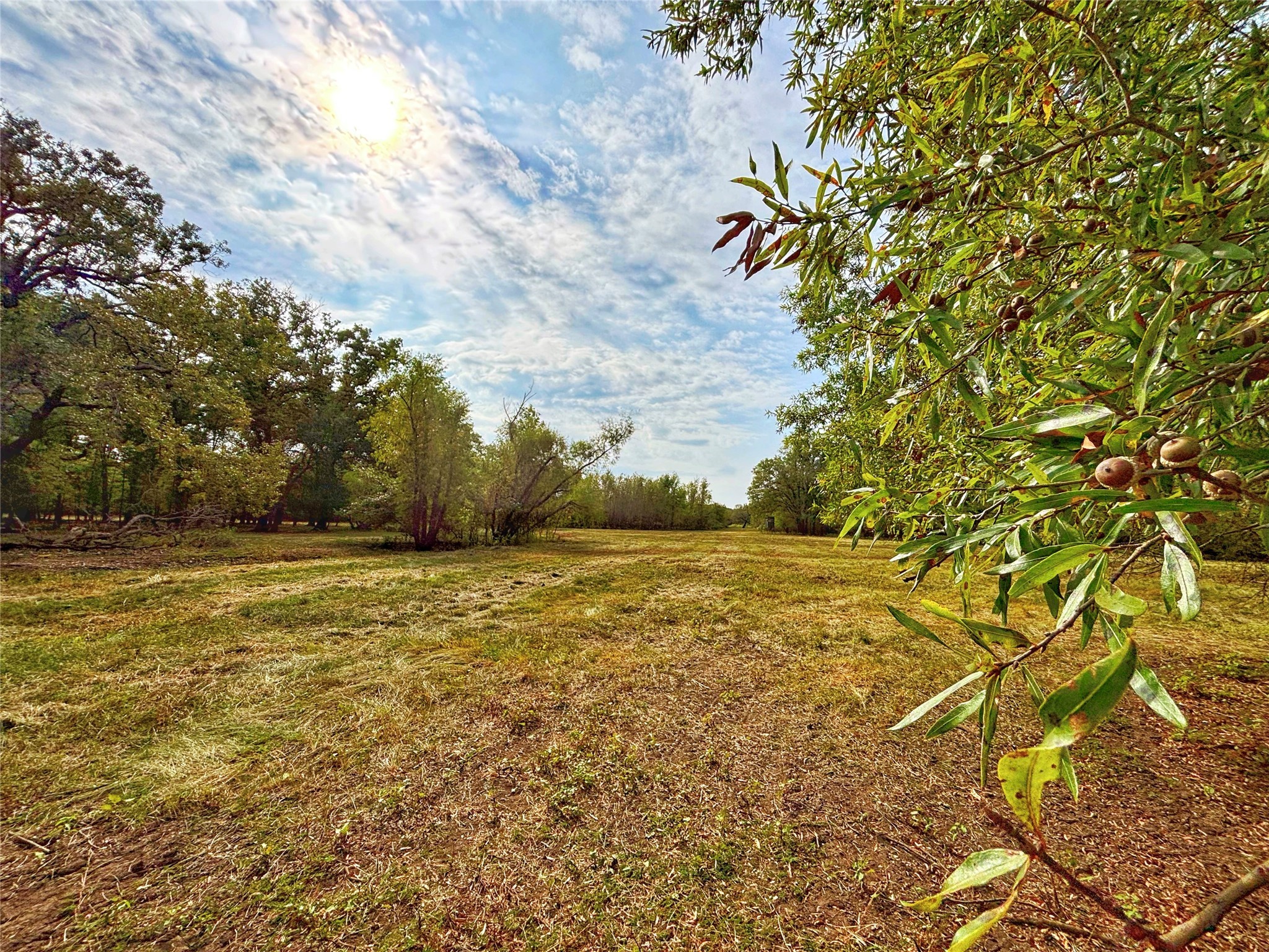 Tbd Cr 155 Property Photo 29