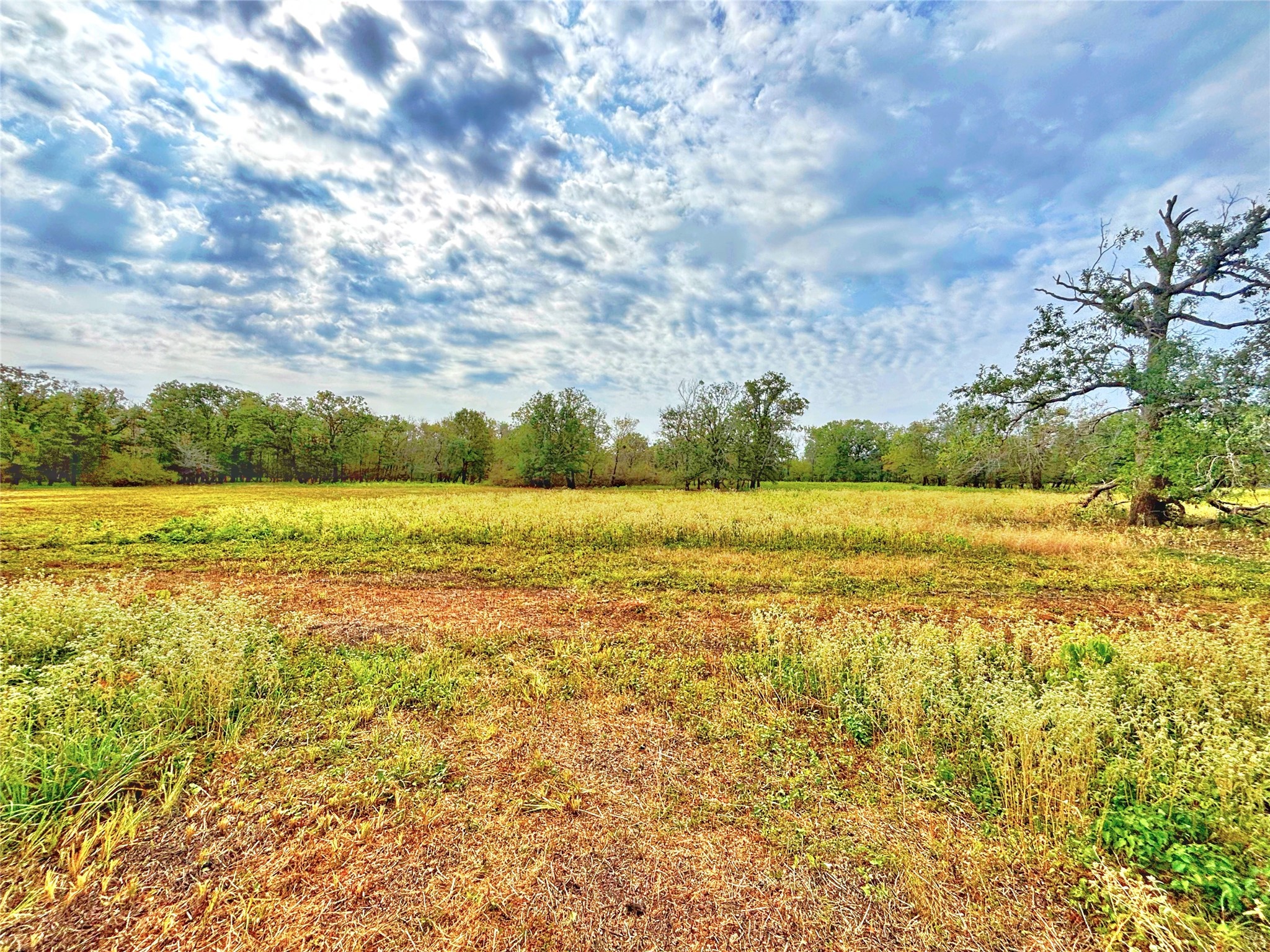 Tbd Cr 155 Property Photo 32