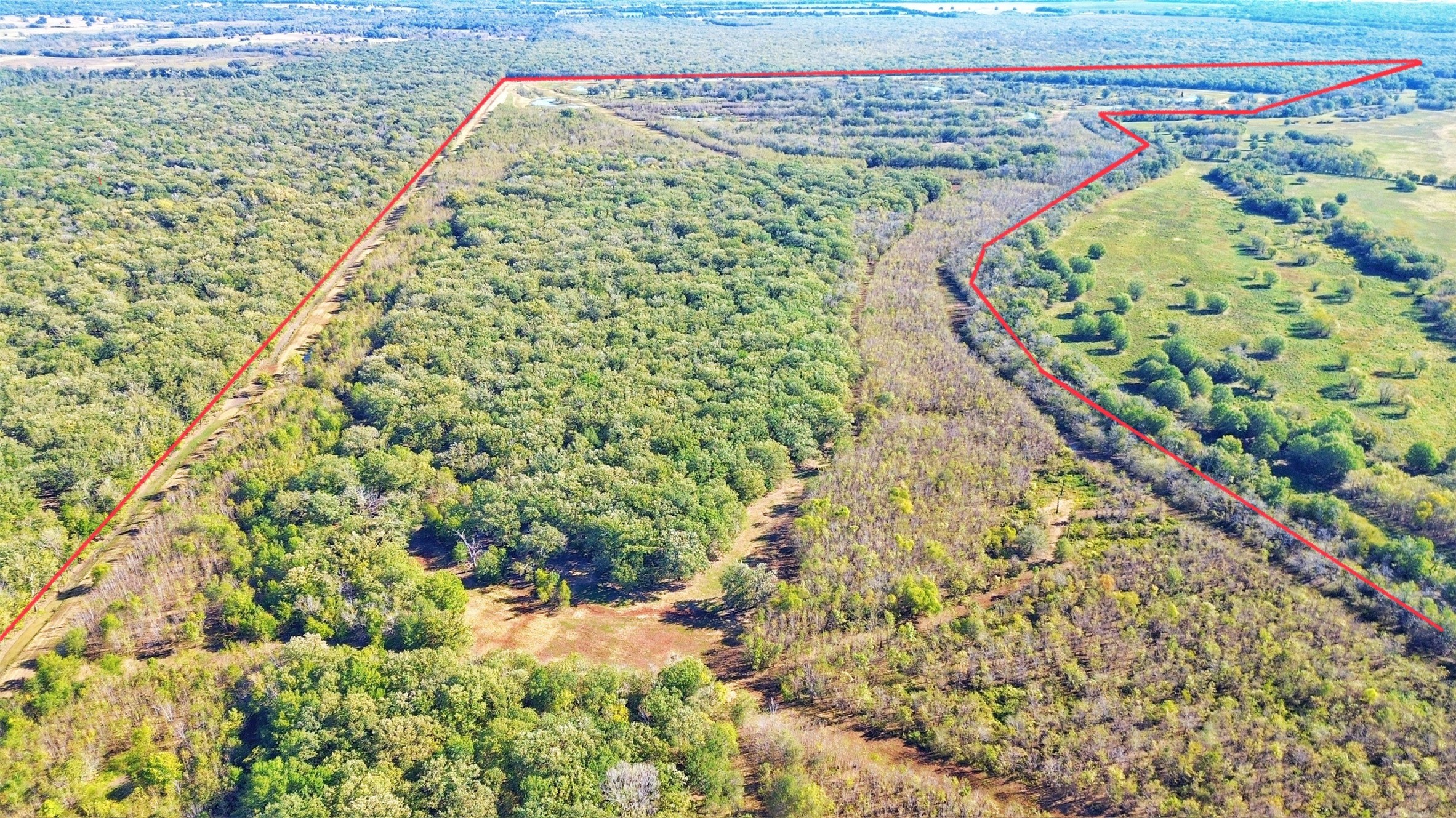 Tbd Cr 155 Property Photo 33