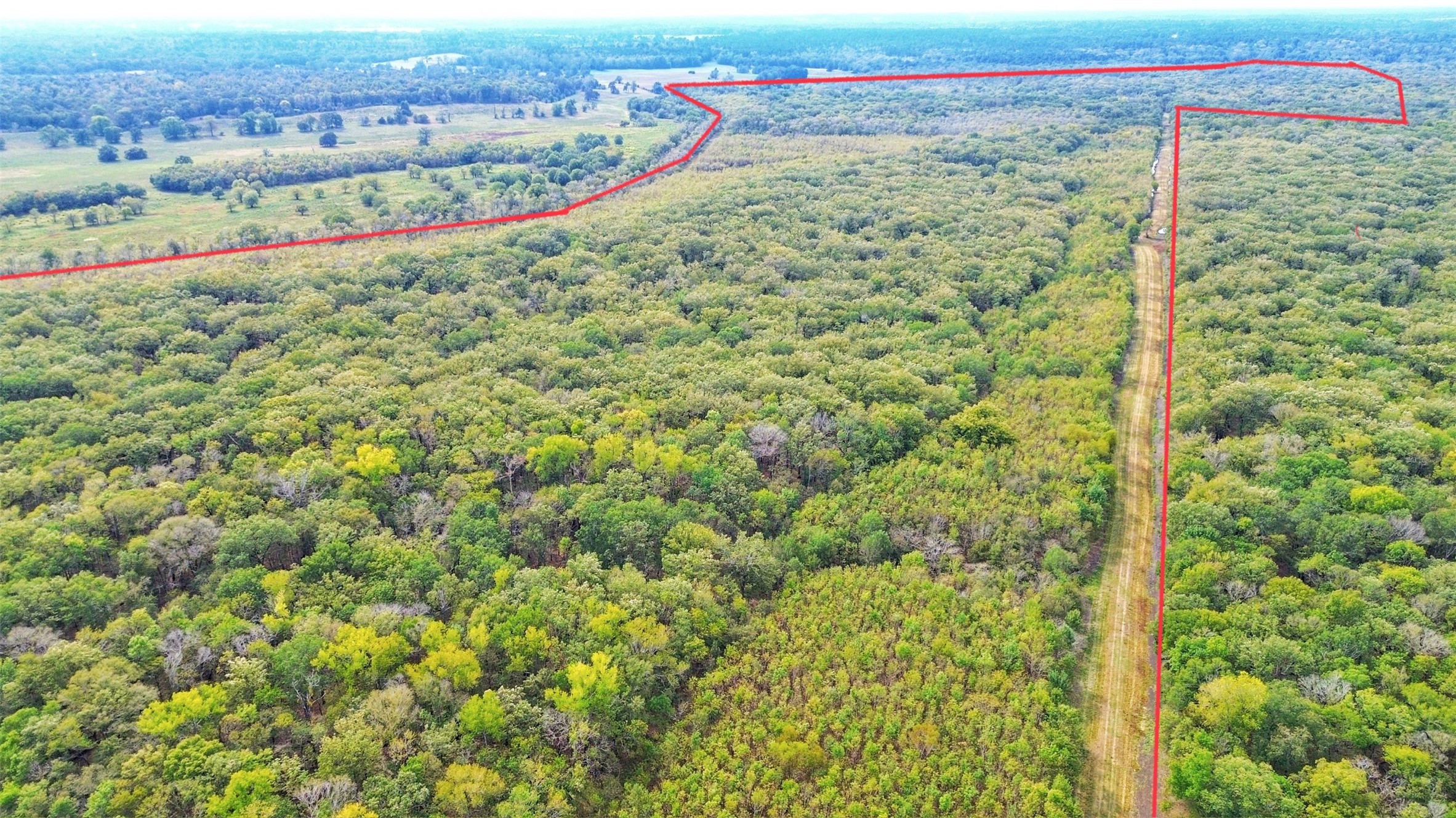 Tbd Cr 155 Property Photo 35