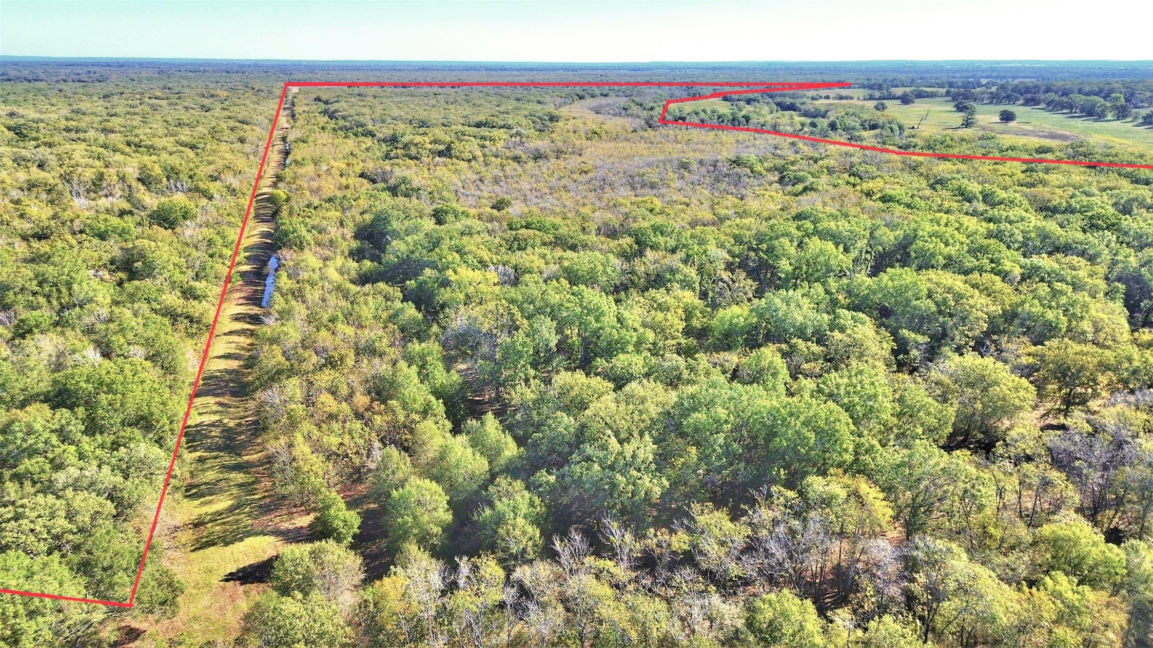 Tbd Cr 155 Property Photo 40