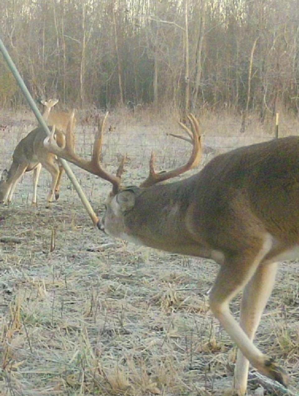 Tbd Cr 155 Property Photo 41