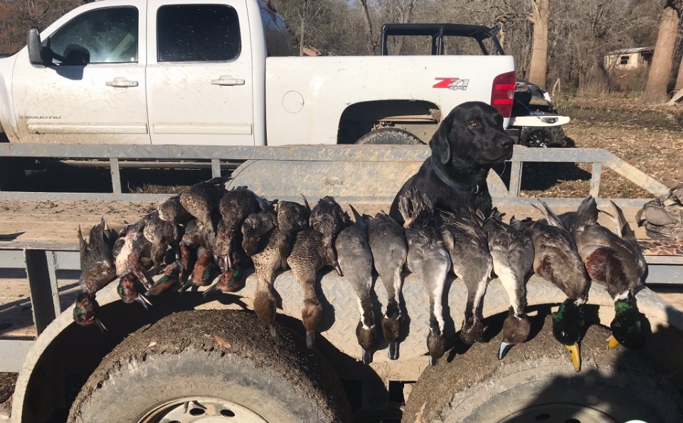 Tbd Cr 155 Property Photo 42