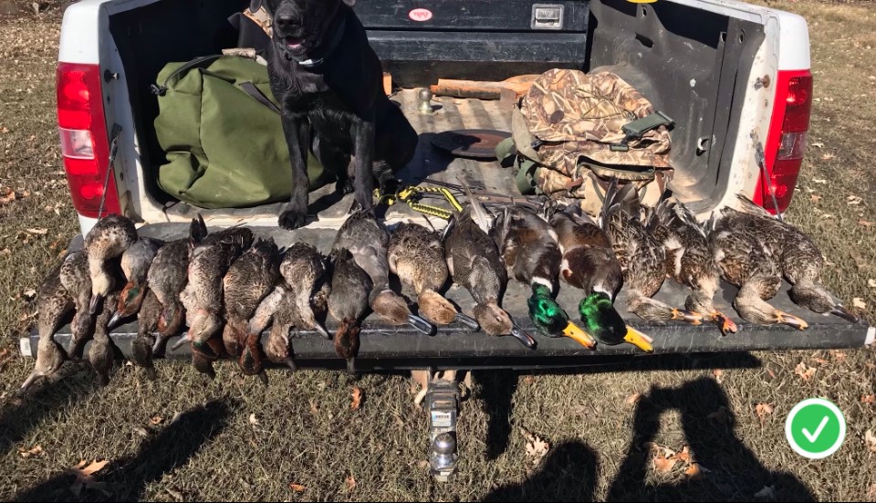 Tbd Cr 155 Property Photo 43