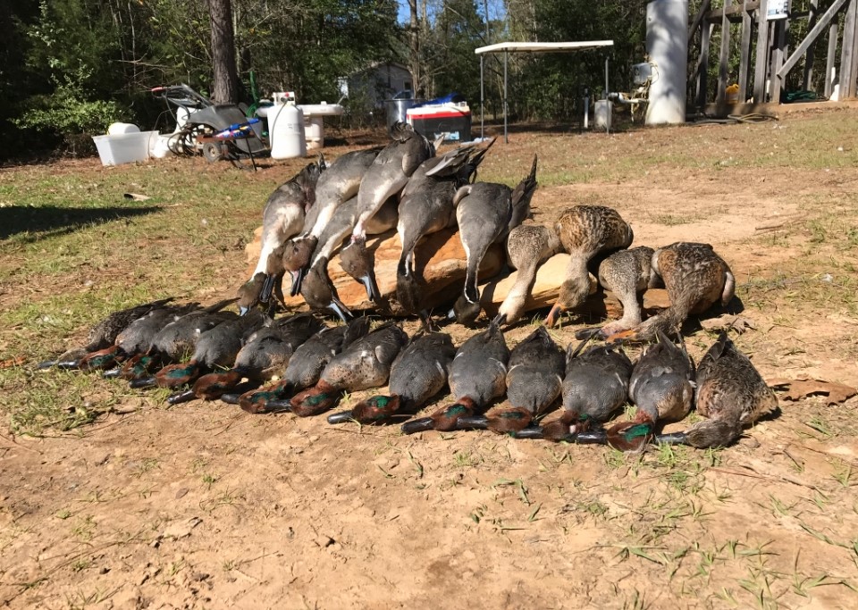 Tbd Cr 155 Property Photo 44