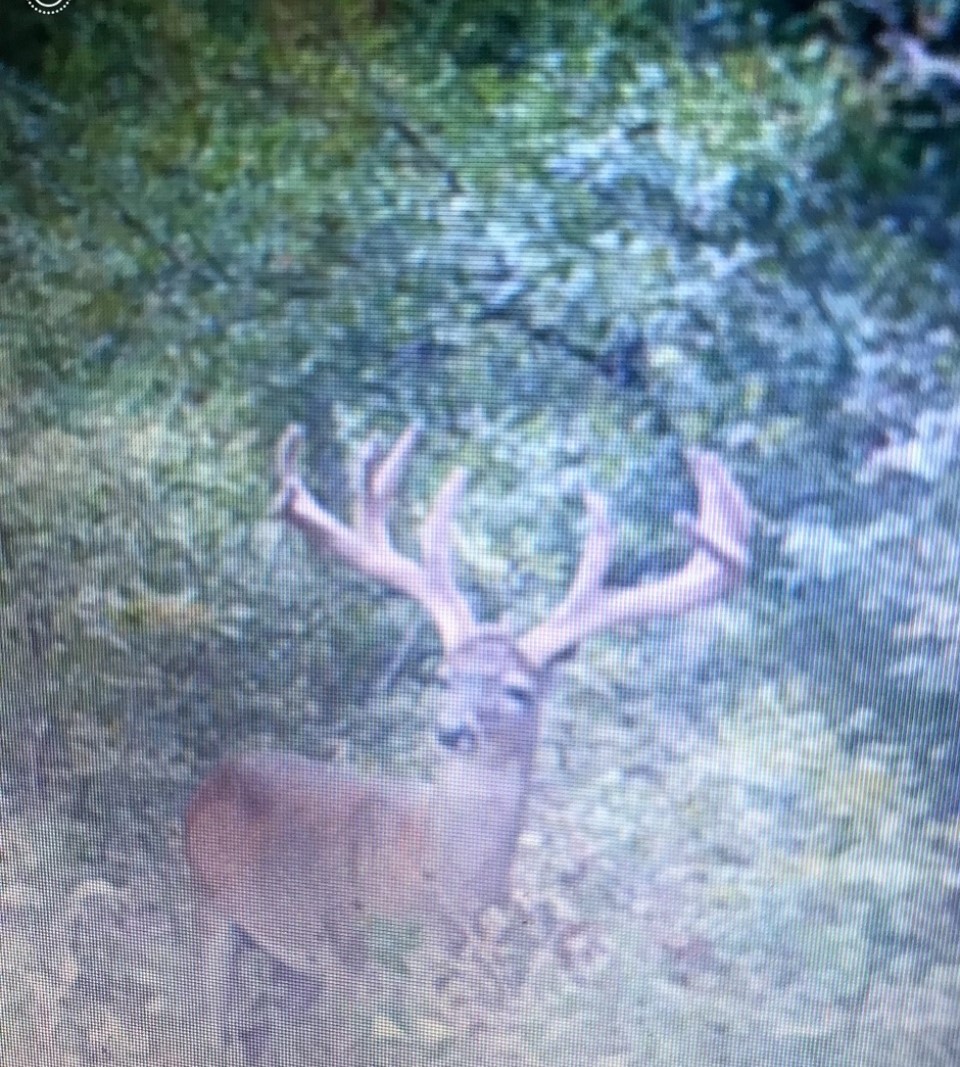 Tbd Cr 155 Property Photo 45