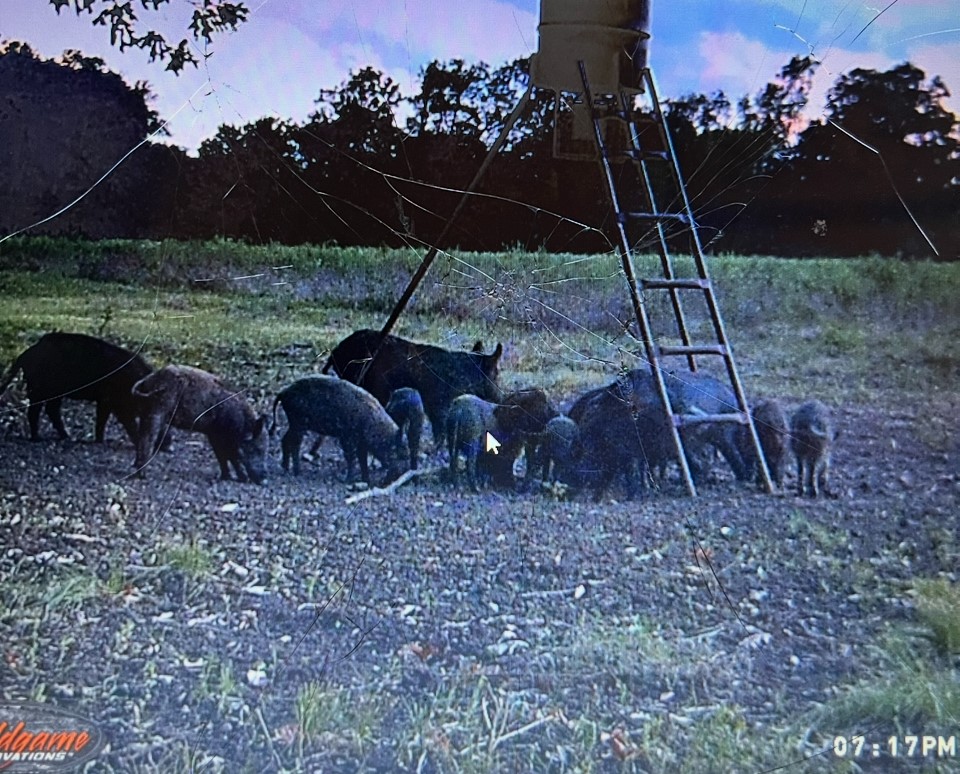 Tbd Cr 155 Property Photo 46