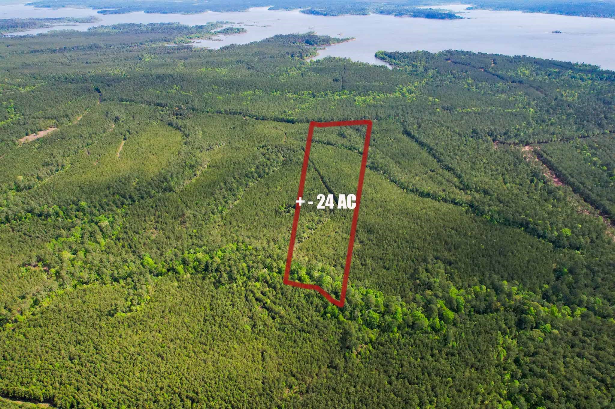 Id 25417 Lot 29 Fm 705 Property Photo 7