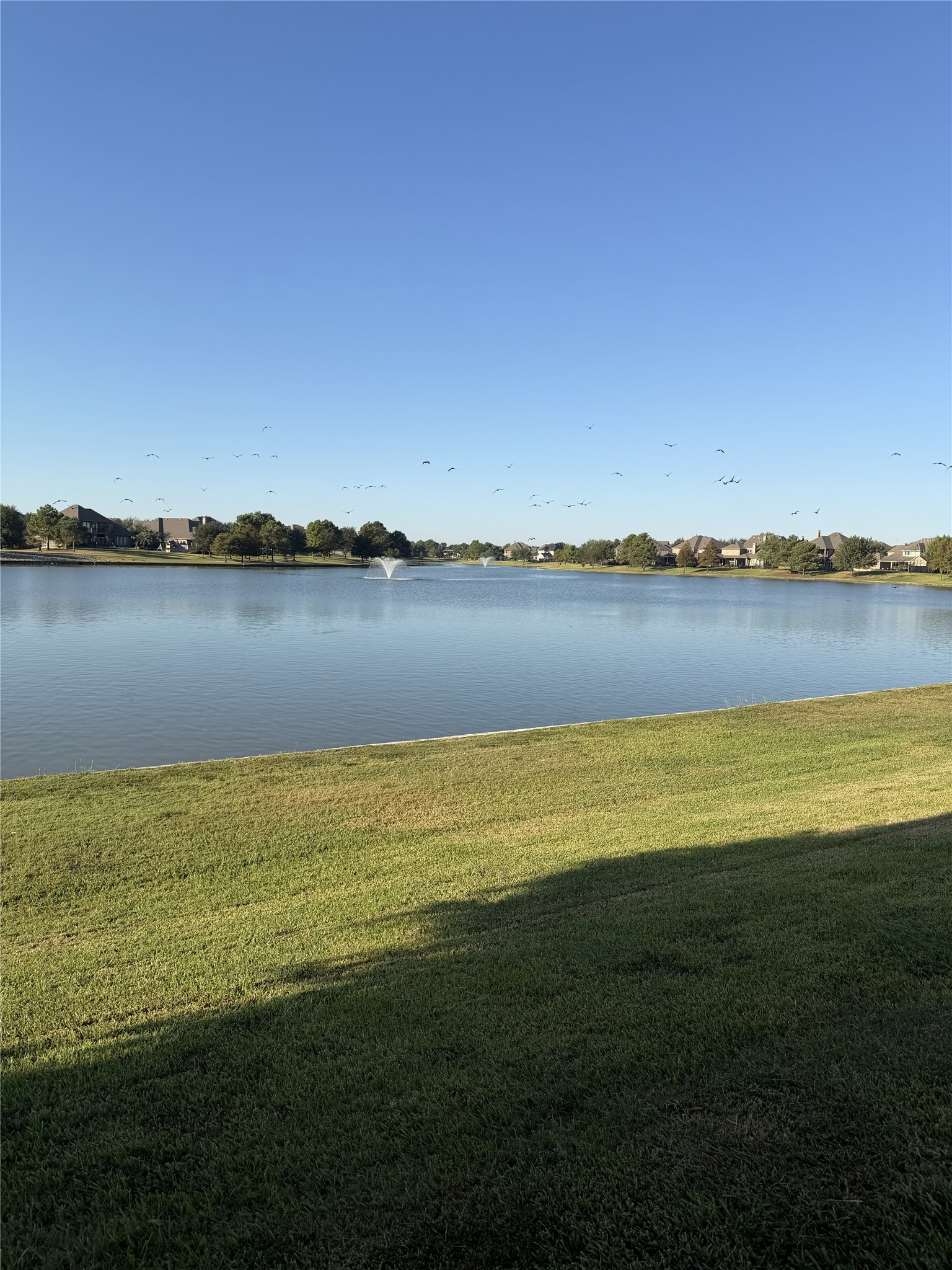 17003 Bowdin Crest Drive Property Photo 49