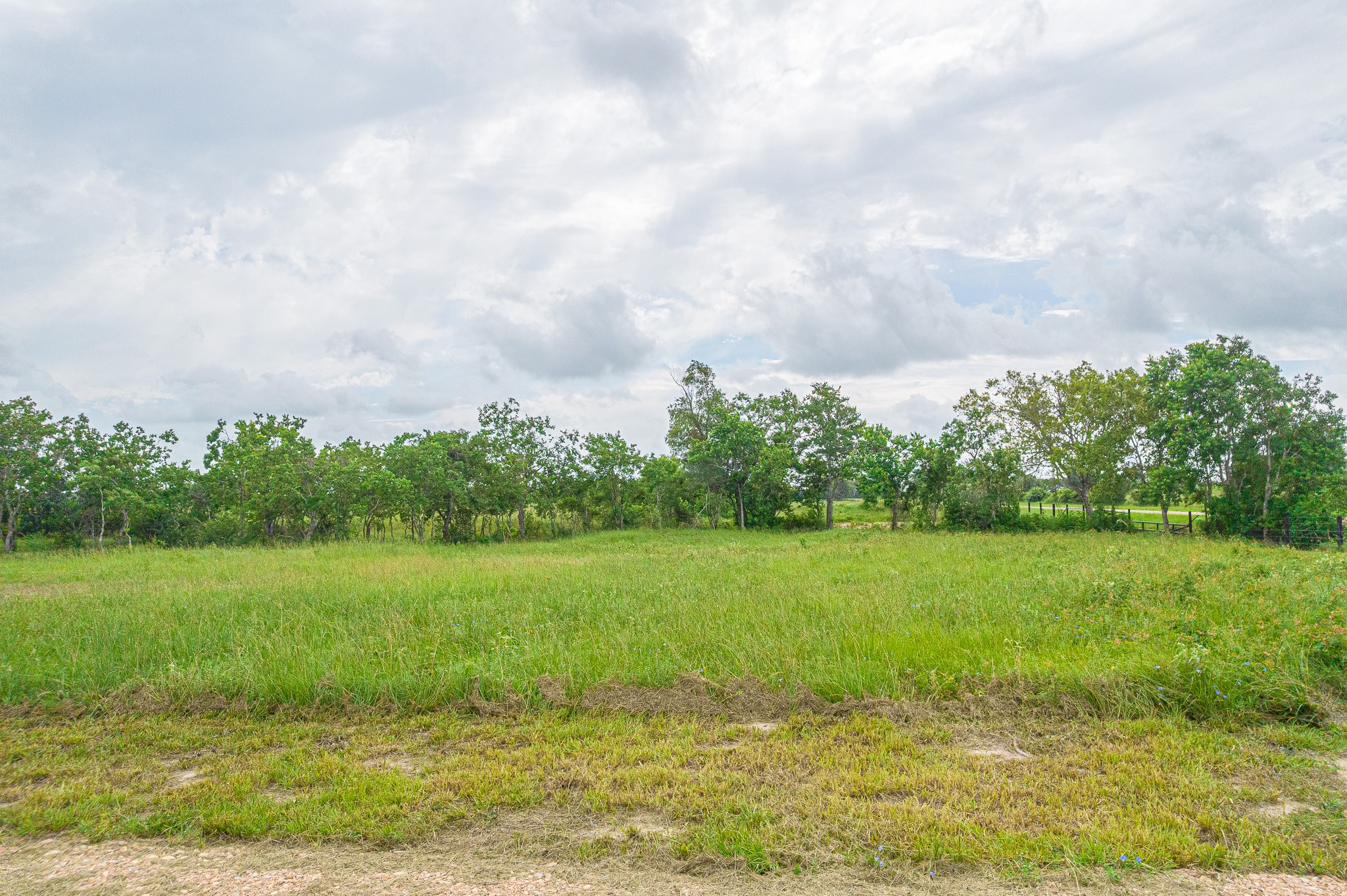 15 Acres Bernardo Road Property Photo 7