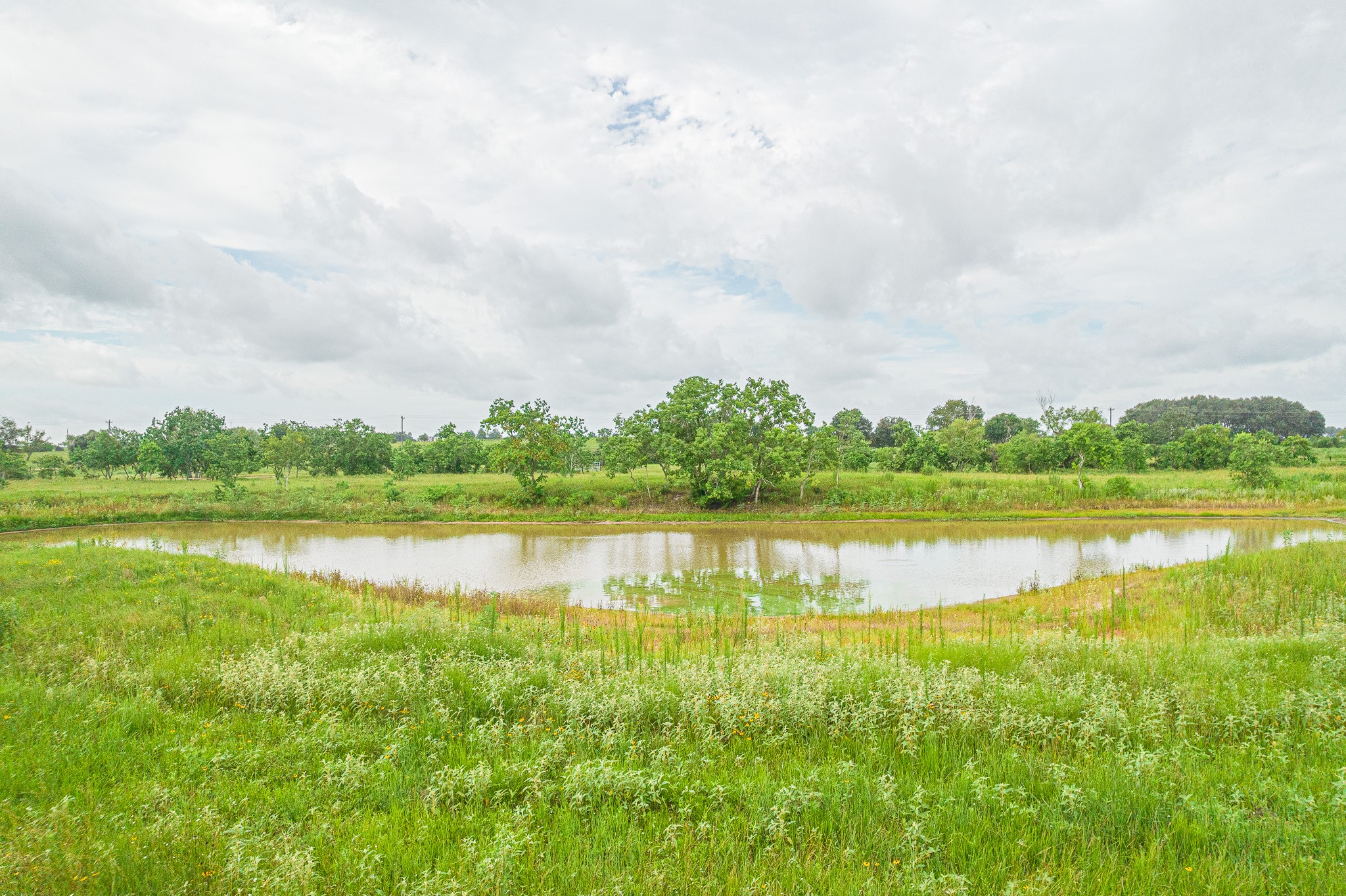 15 Acres Bernardo Road Property Photo 9