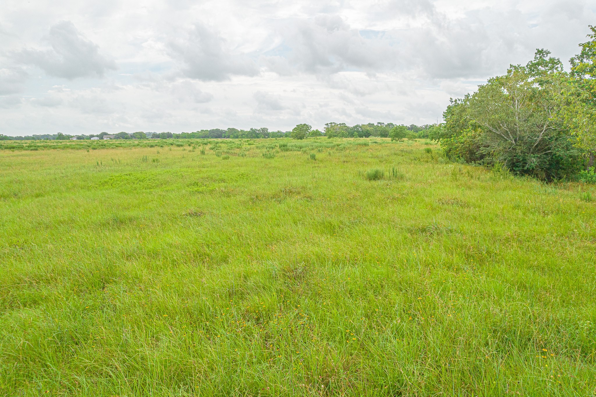 15 Acres Bernardo Road Property Photo 11