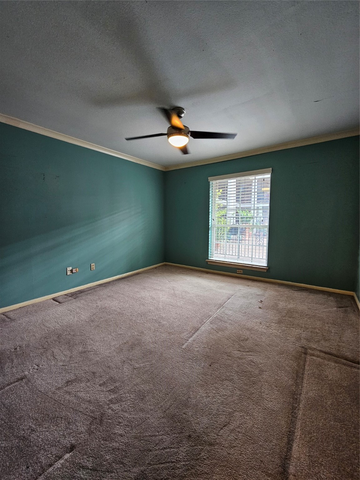 2507 Montrose Boulevard 12 Property Photo 19