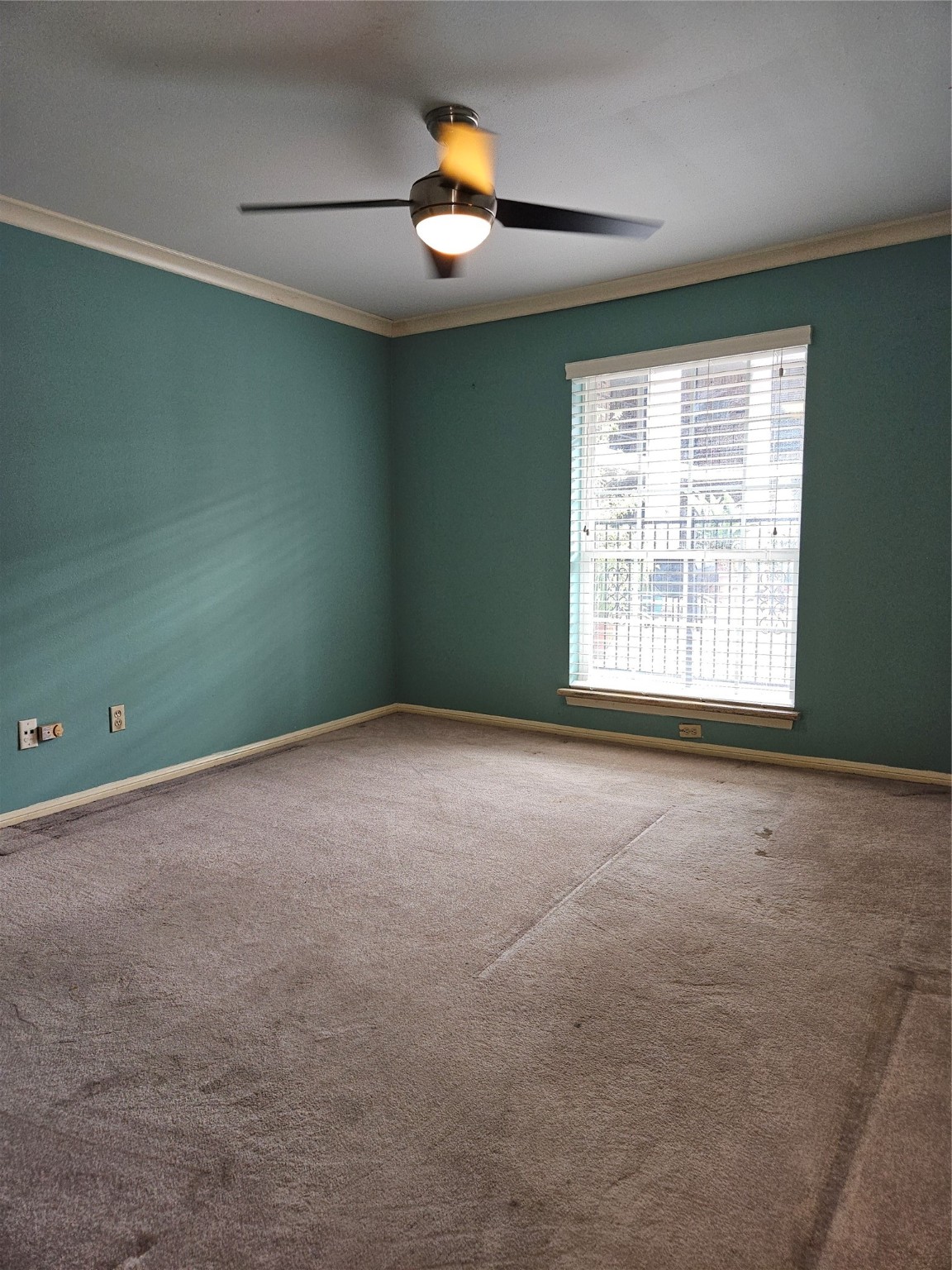 2507 Montrose Boulevard 12 Property Photo 20