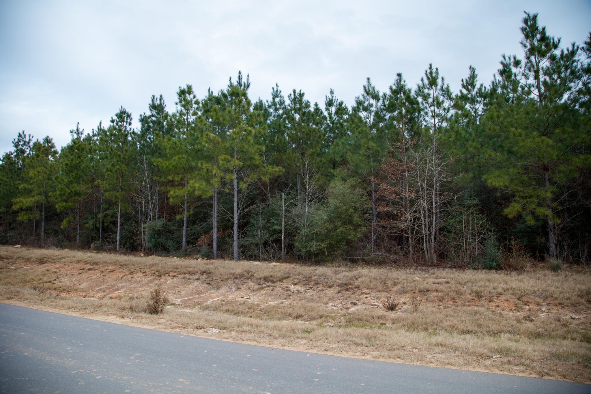 15244 Rubicon Road Property Photo 1