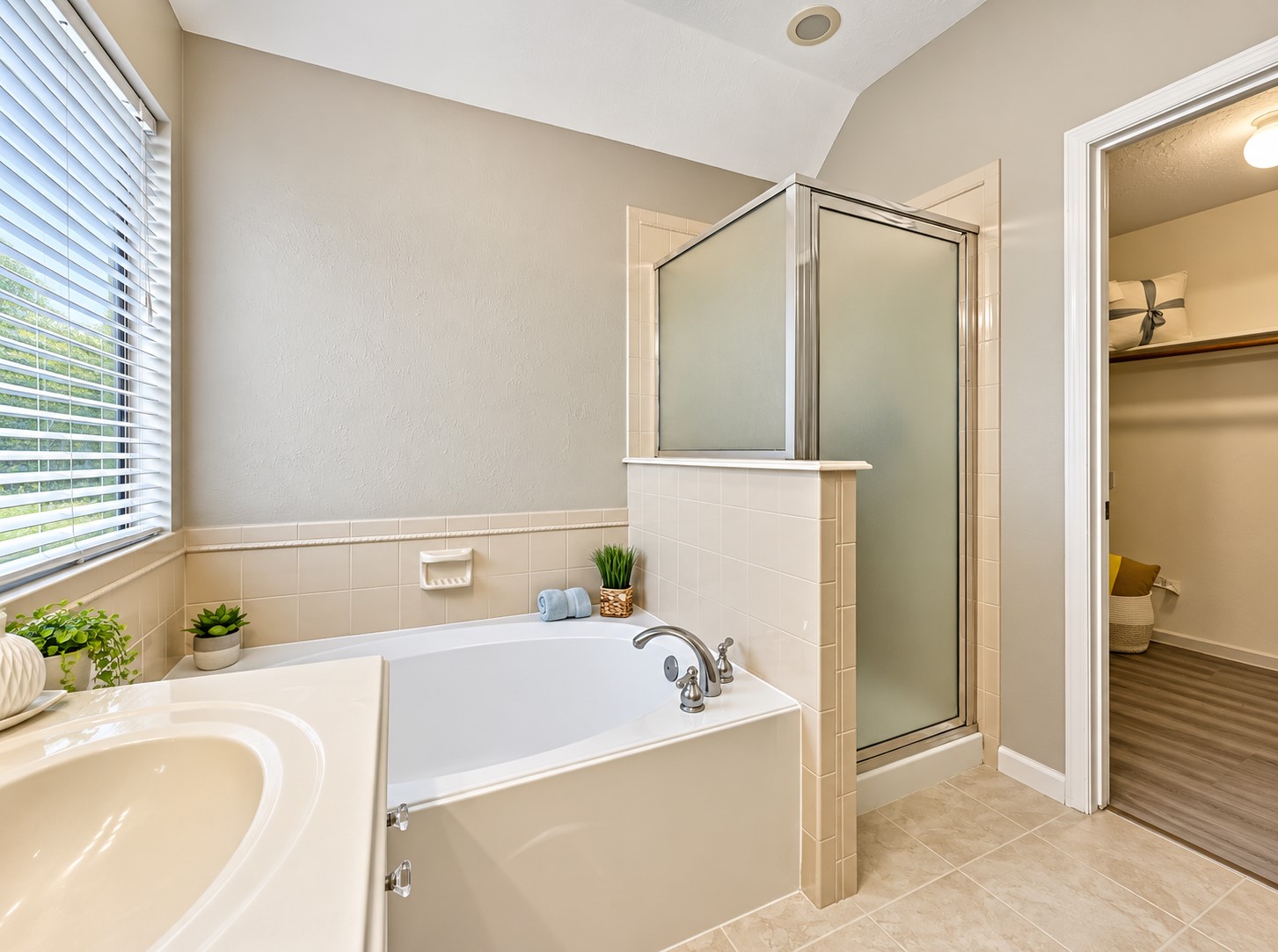 38 Scotch Pine Court Property Photo 29