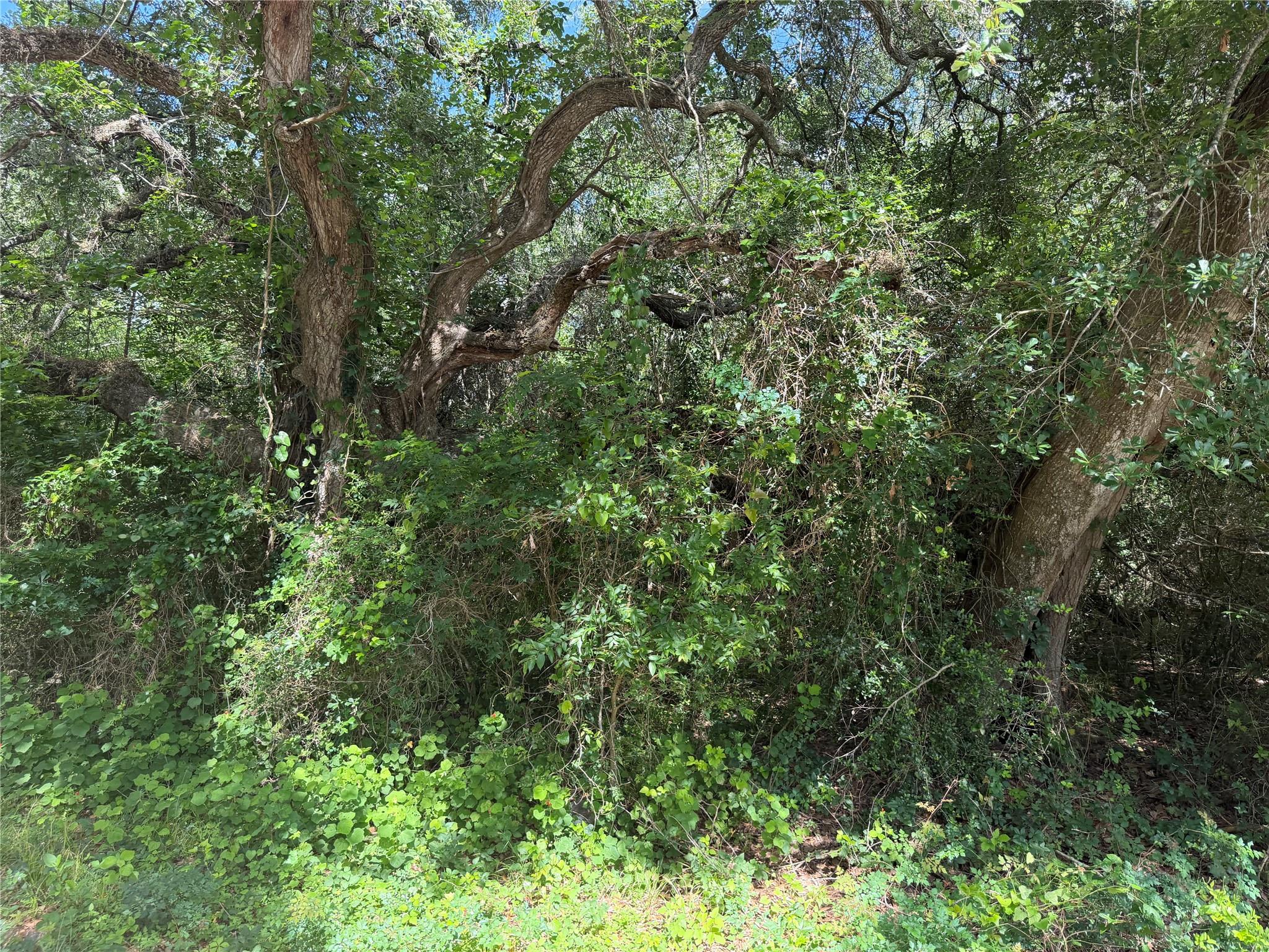 LOT 529 Grand Oak Street, Palacios TX 77465 Property Photo 1