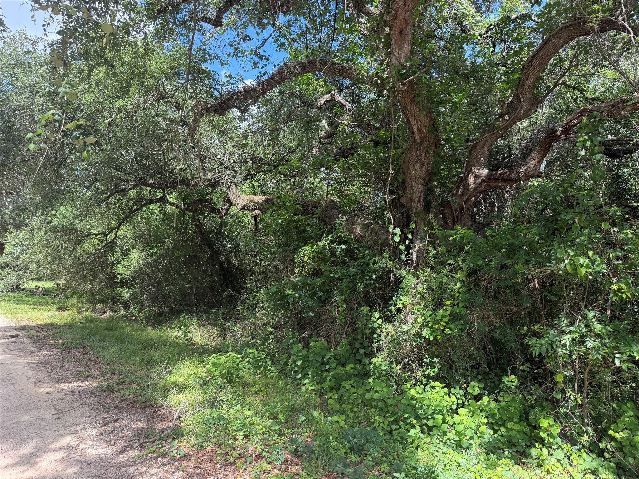 Lot 529 Grand Oak Street, Palacios Tx 77465 Property Photo 2