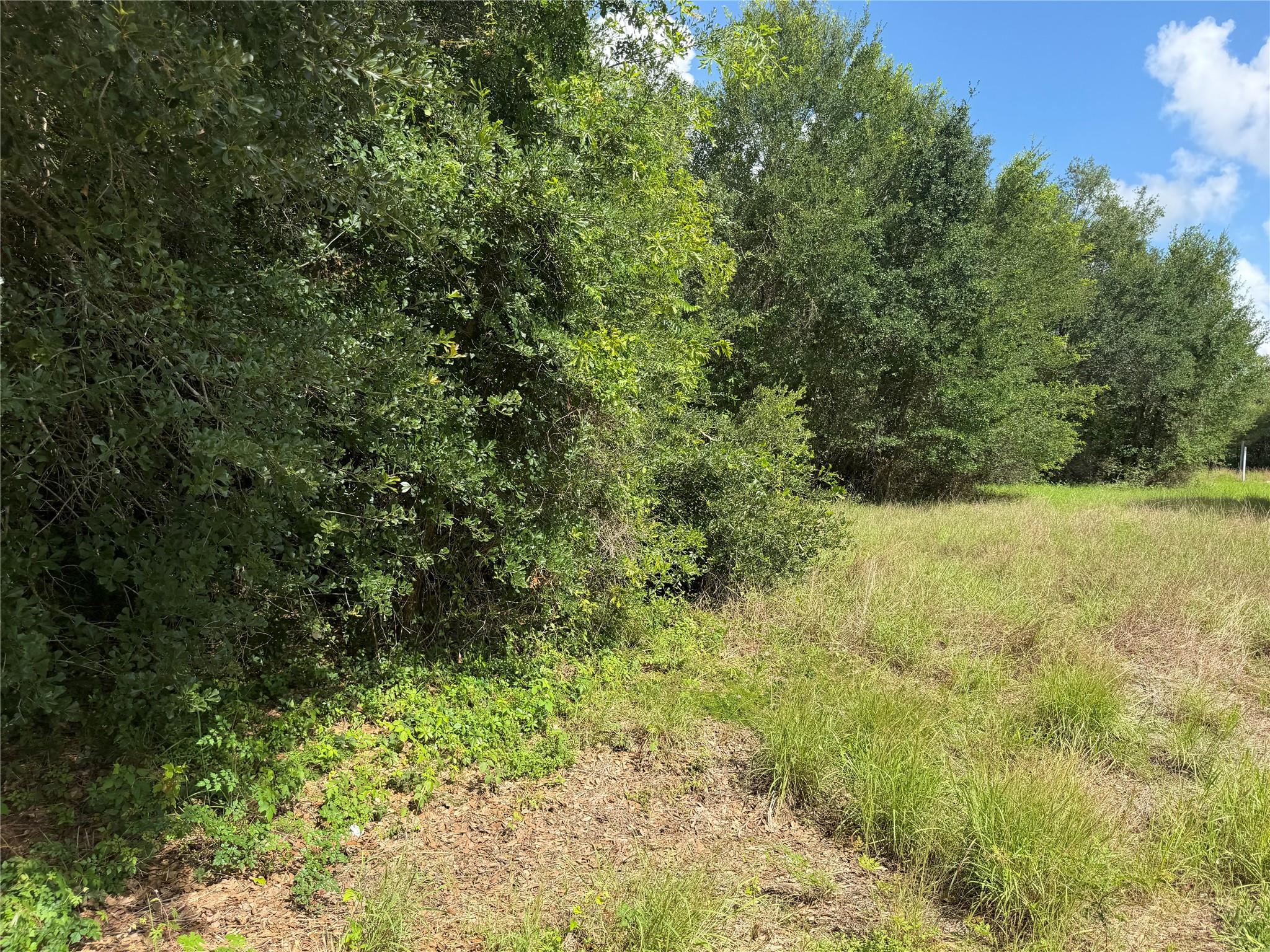 Lot 529 Grand Oak Street, Palacios Tx 77465 Property Photo 3