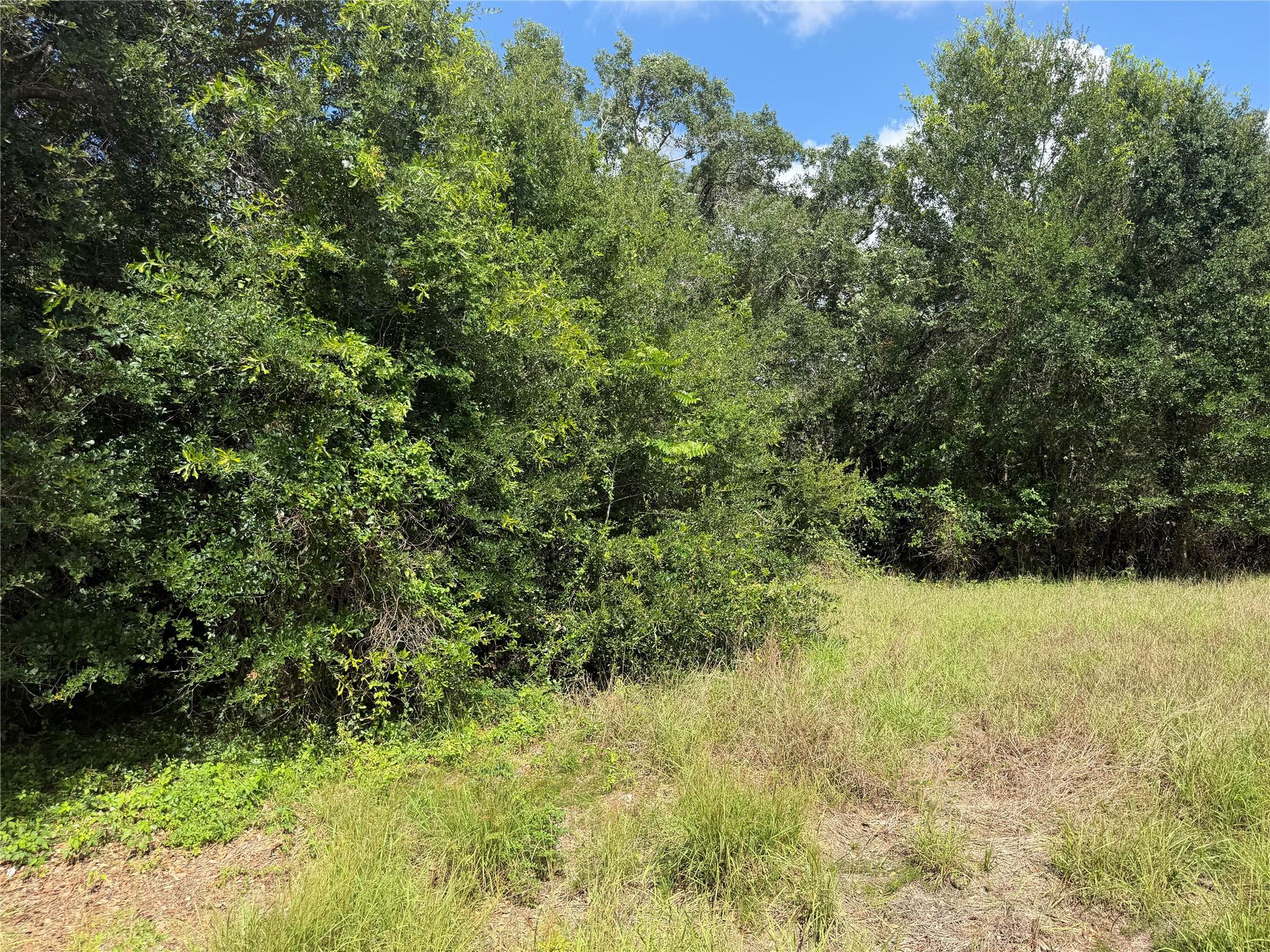 Lot 529 Grand Oak Street, Palacios Tx 77465 Property Photo 5