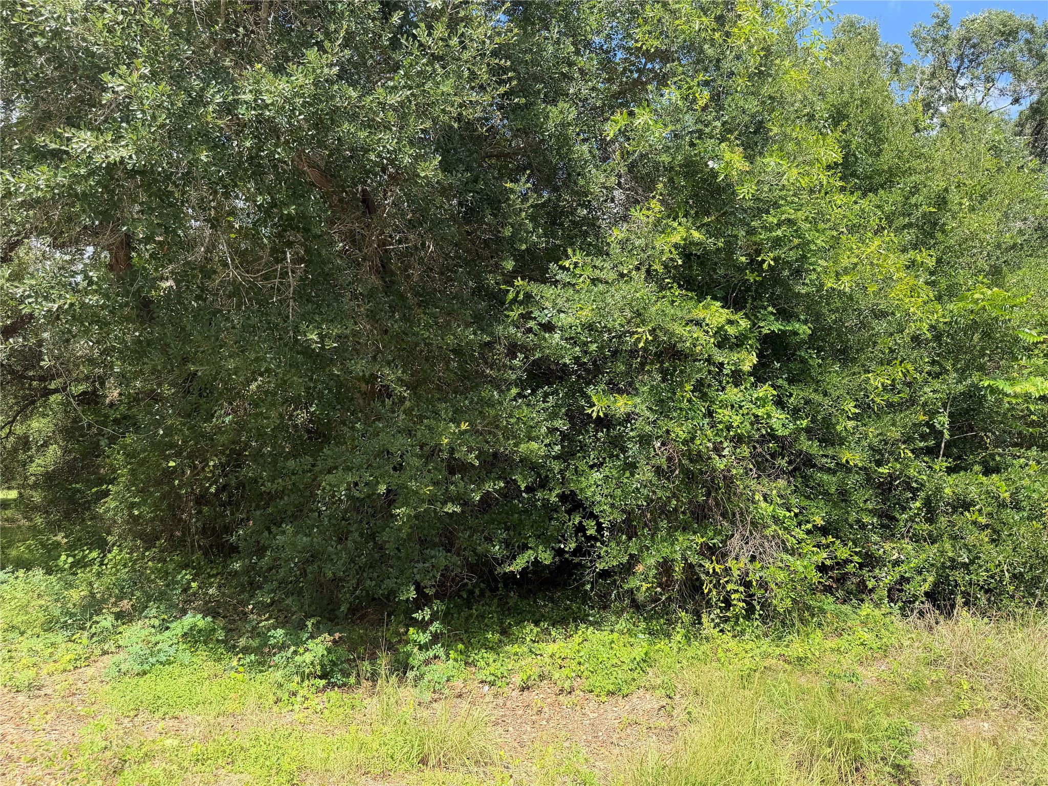 Lot 529 Grand Oak Street, Palacios Tx 77465 Property Photo 6