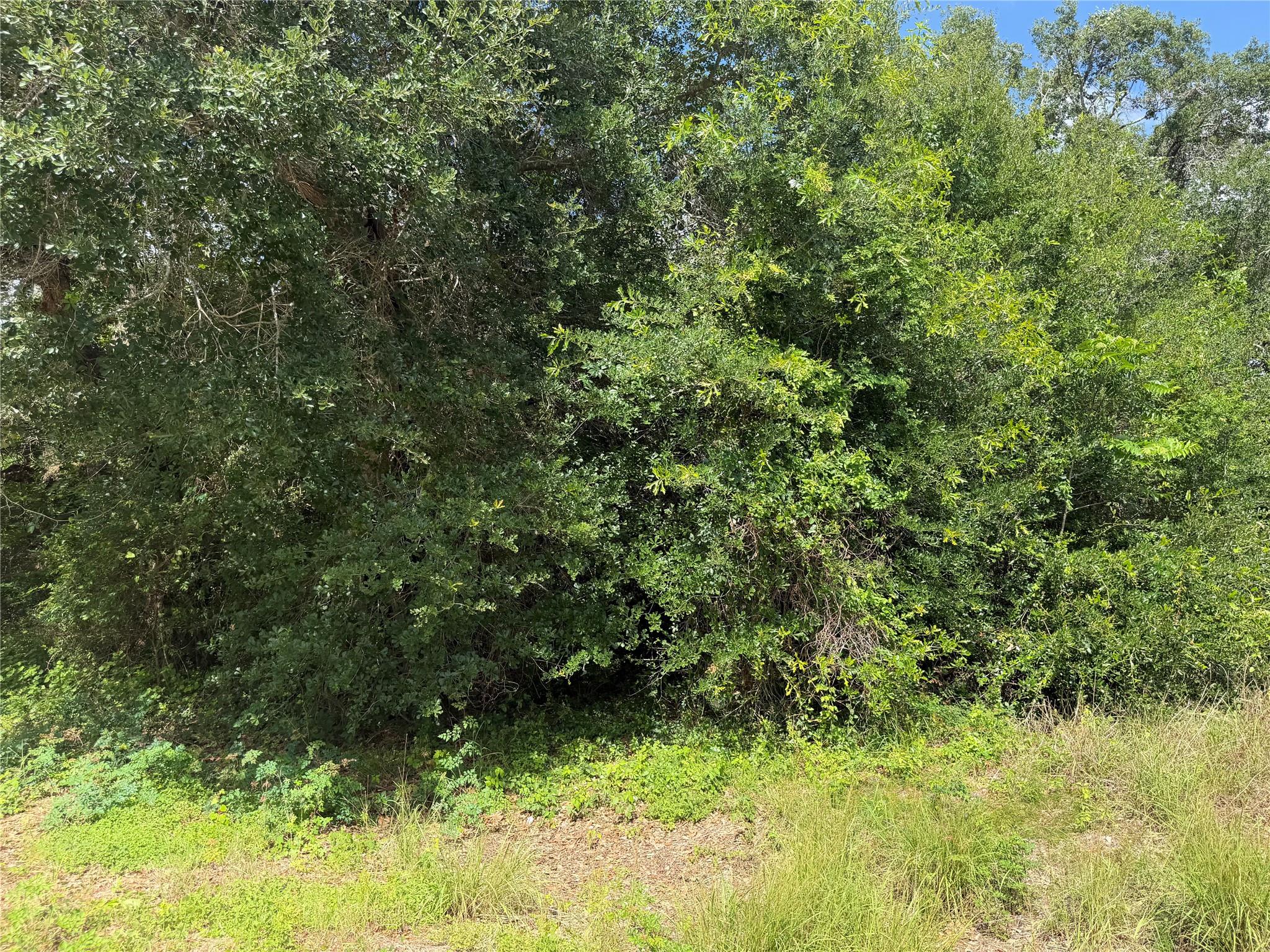 Lot 529 Grand Oak Street, Palacios Tx 77465 Property Photo 8