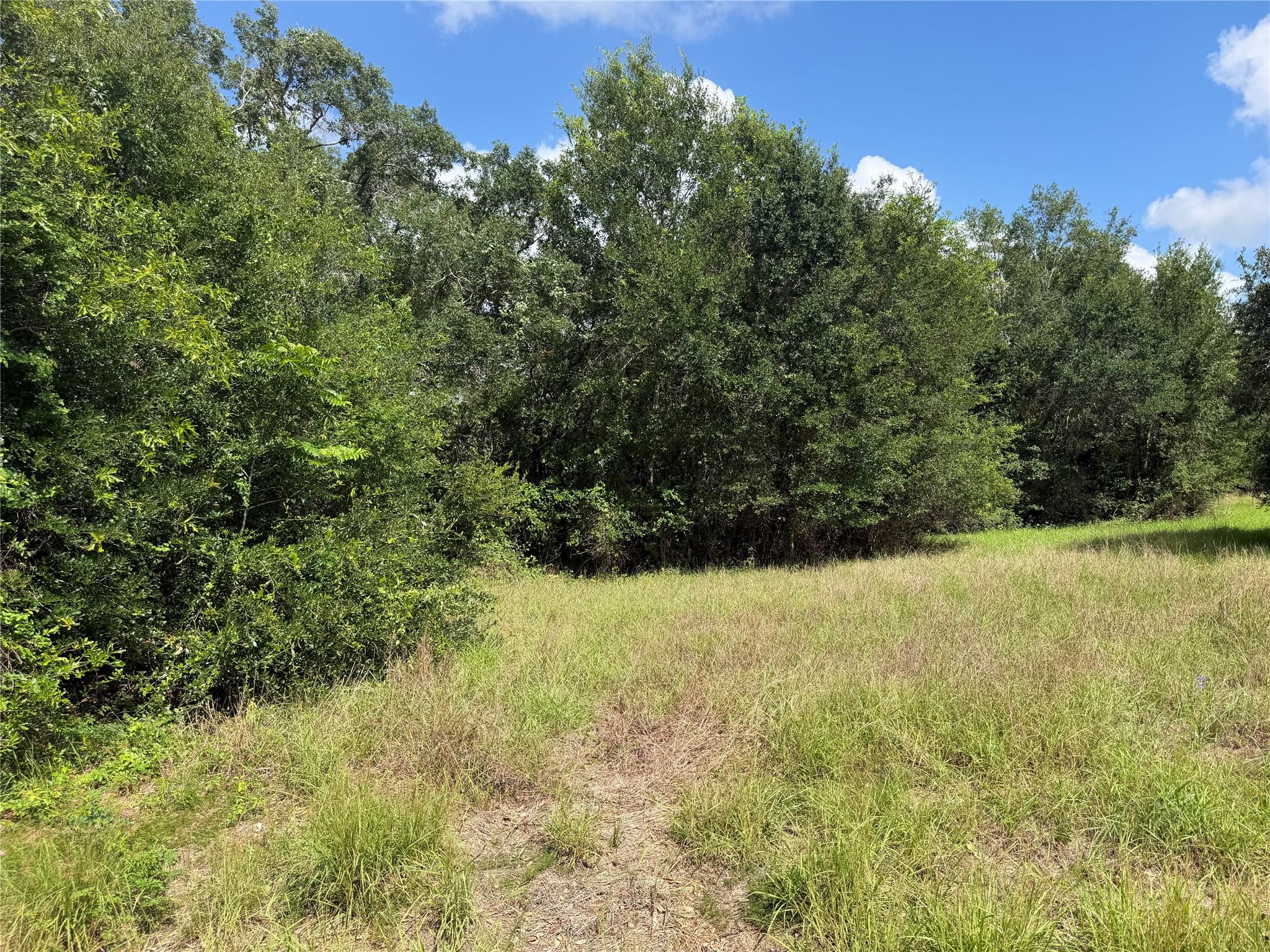 Lot 529 Grand Oak Street, Palacios Tx 77465 Property Photo 10