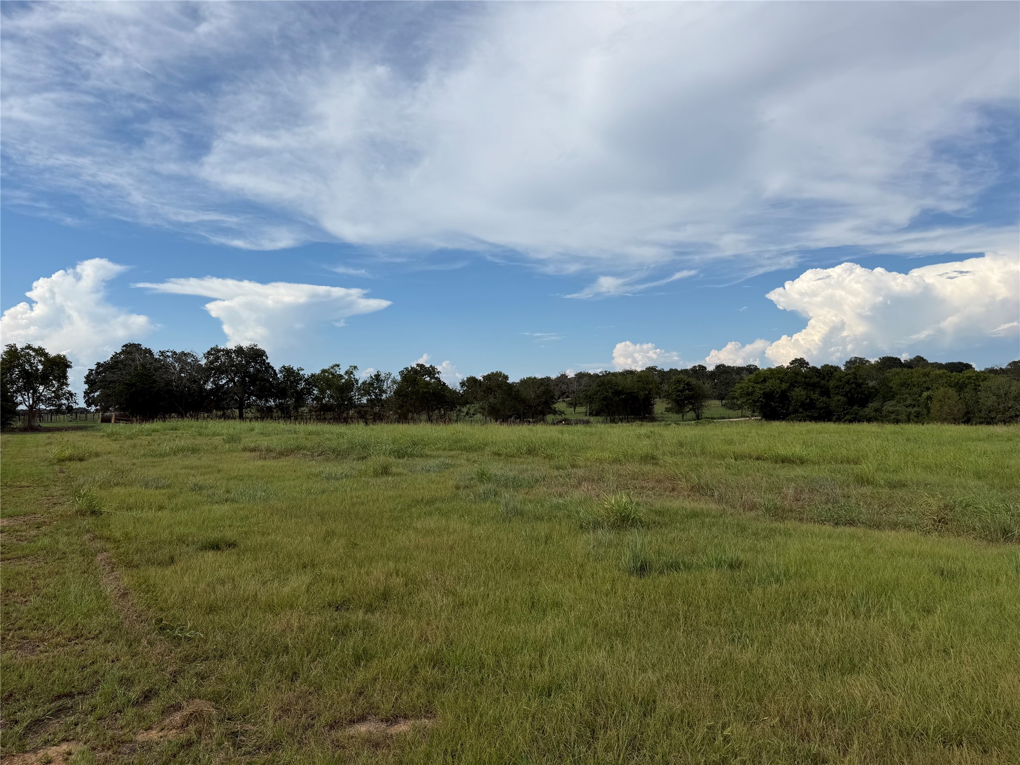 22828 Fm 1094 Property Photo 3