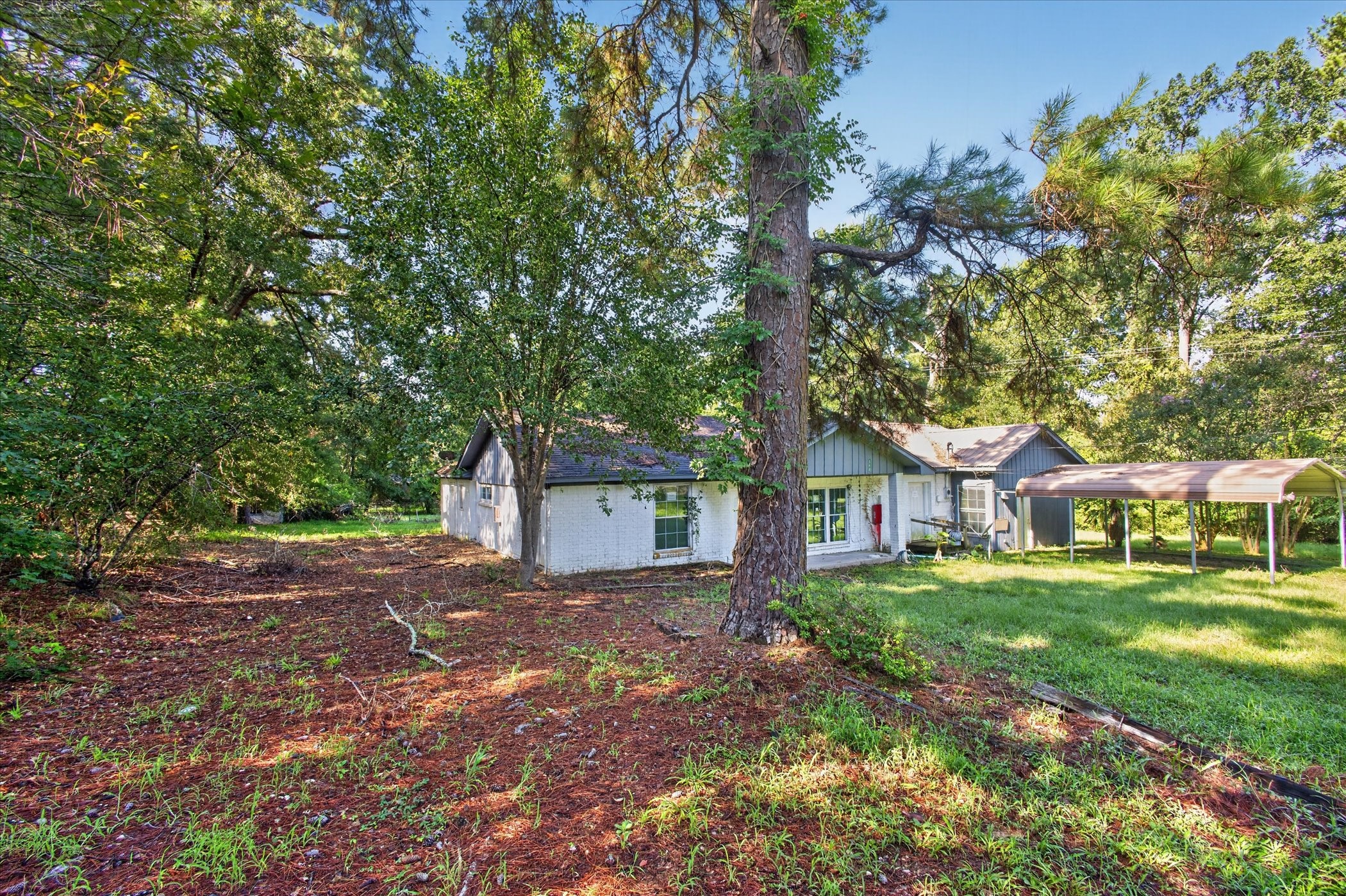 242 Bishop Property Photo 2