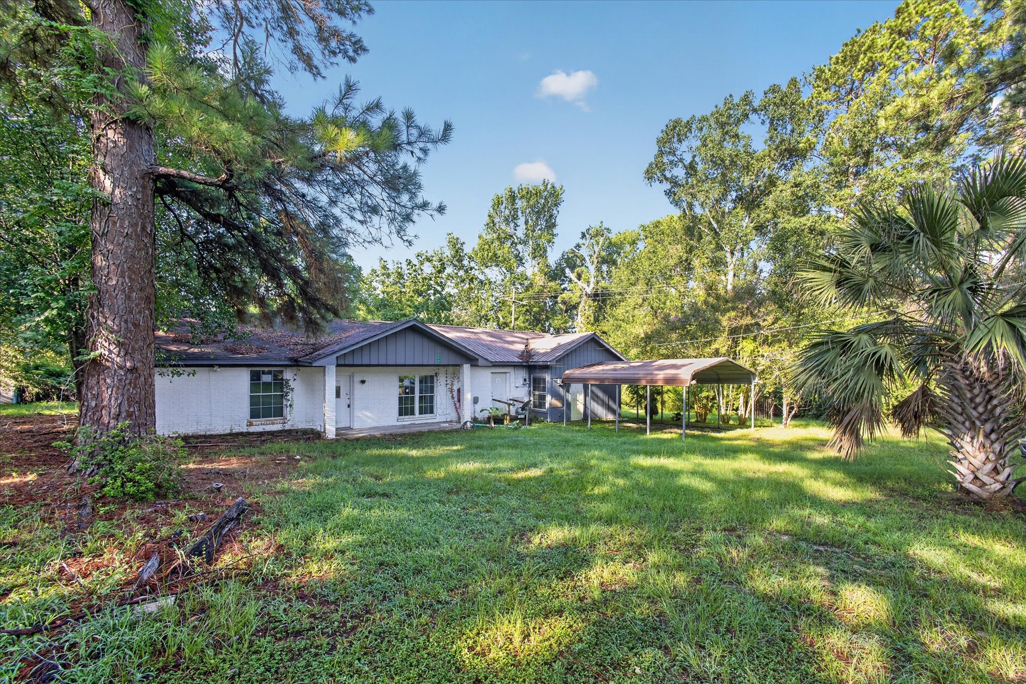 242 Bishop Property Photo 4