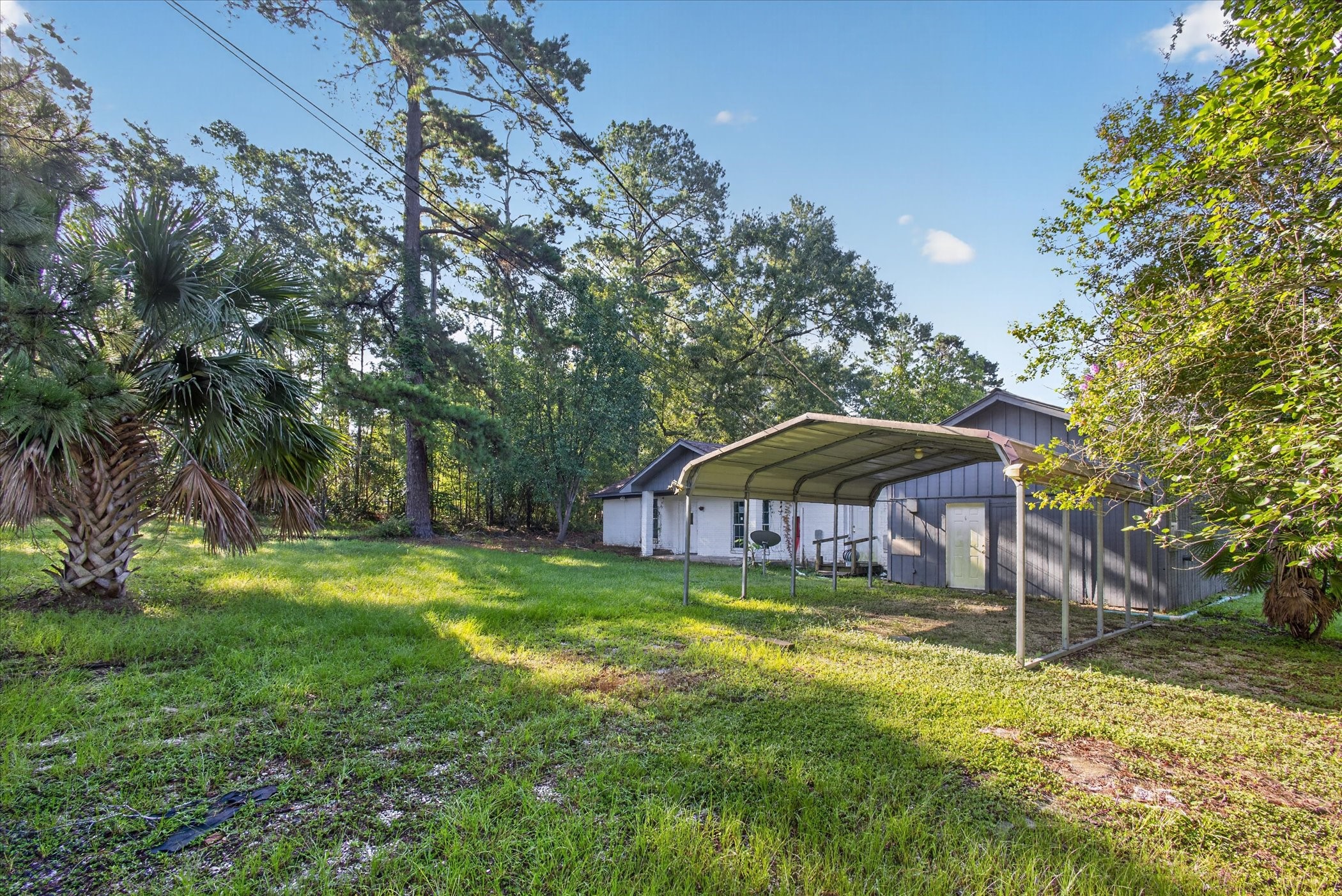242 Bishop Property Photo 6