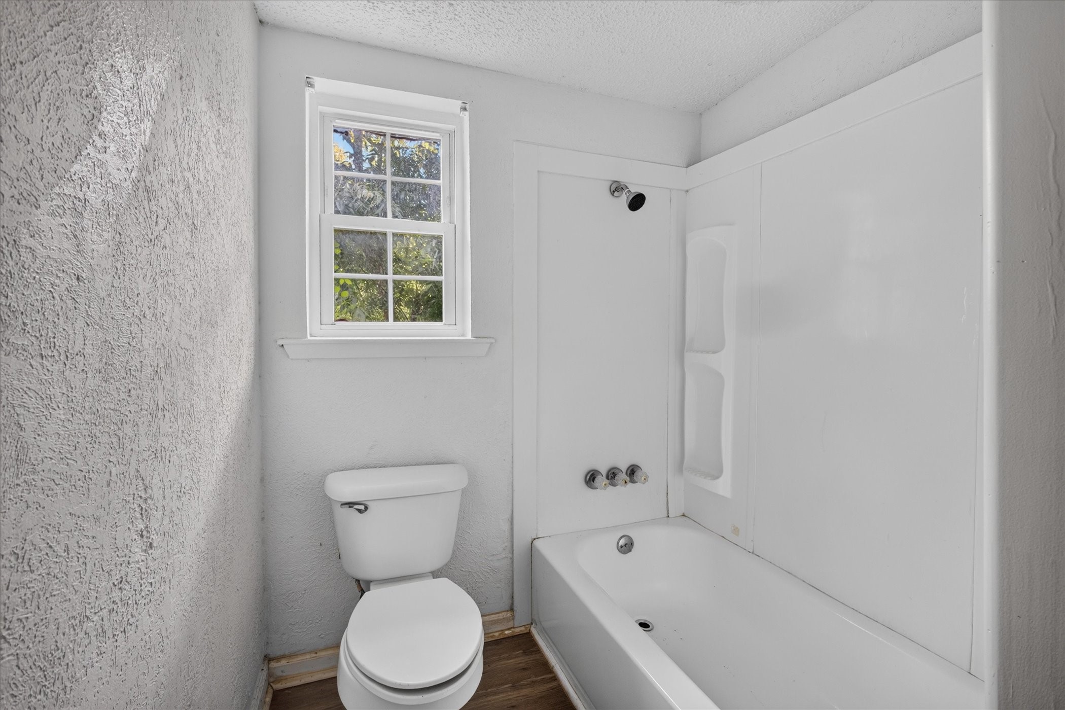 242 Bishop Property Photo 19