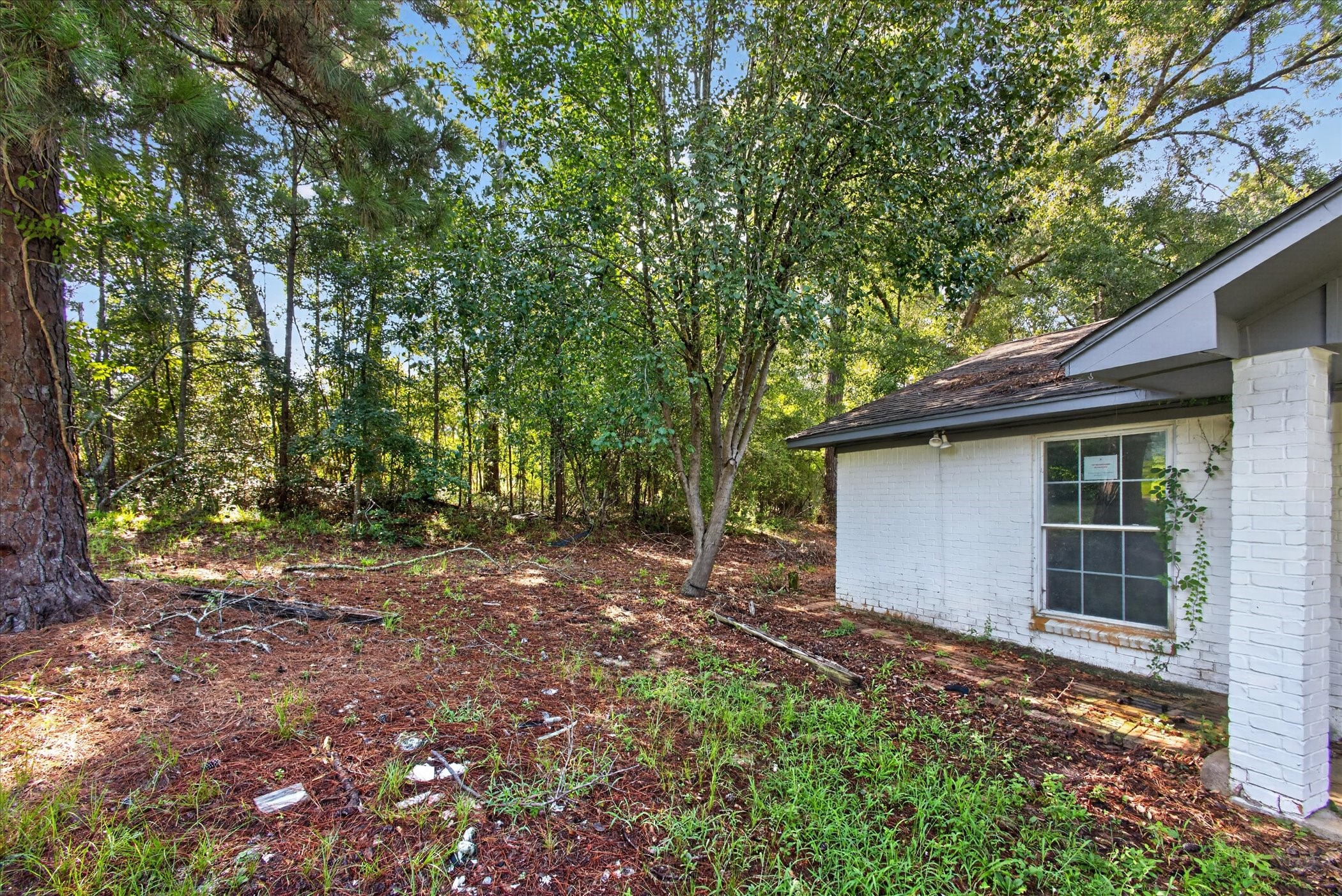 242 Bishop Property Photo 31