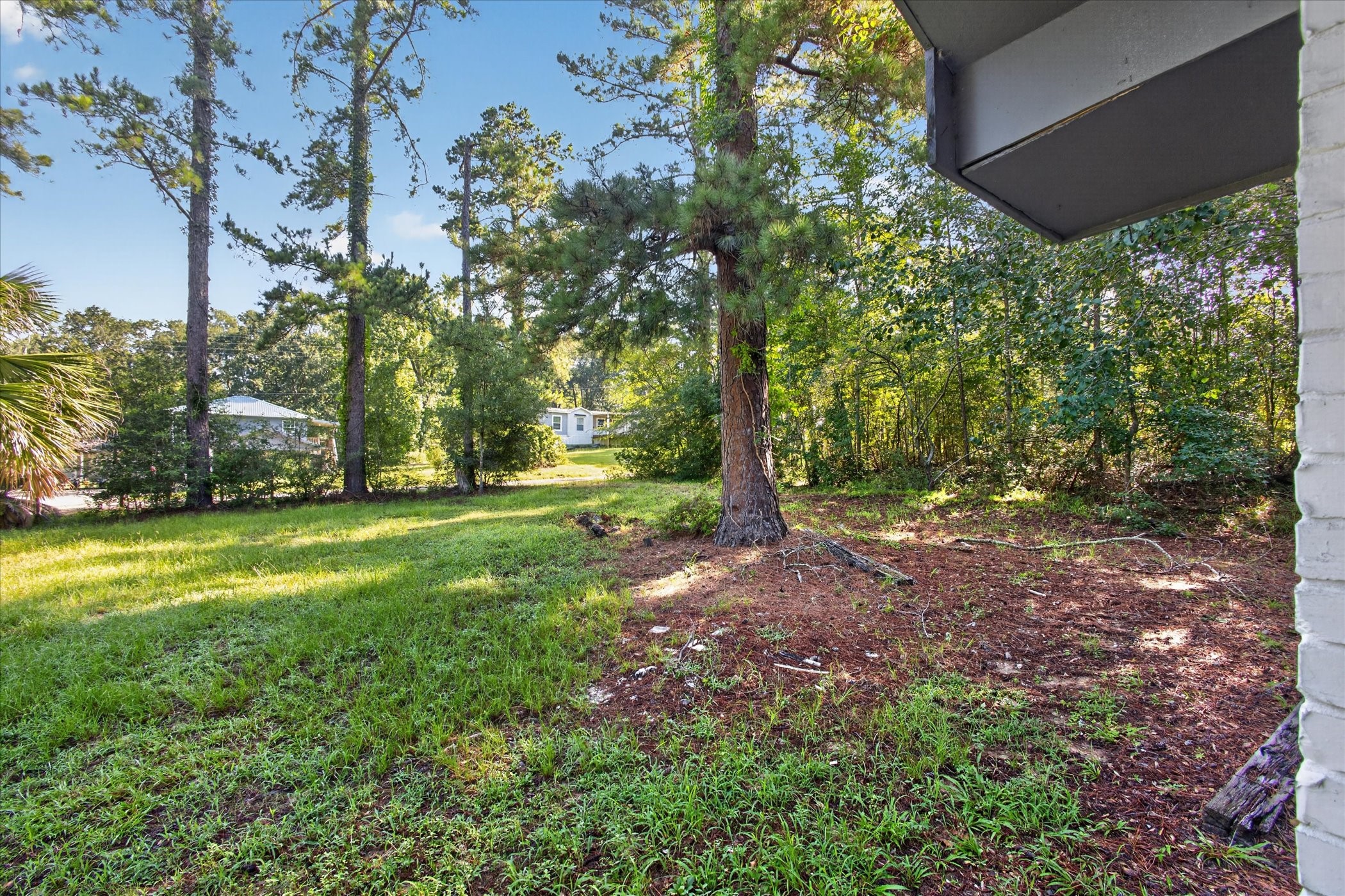 242 Bishop Property Photo 32
