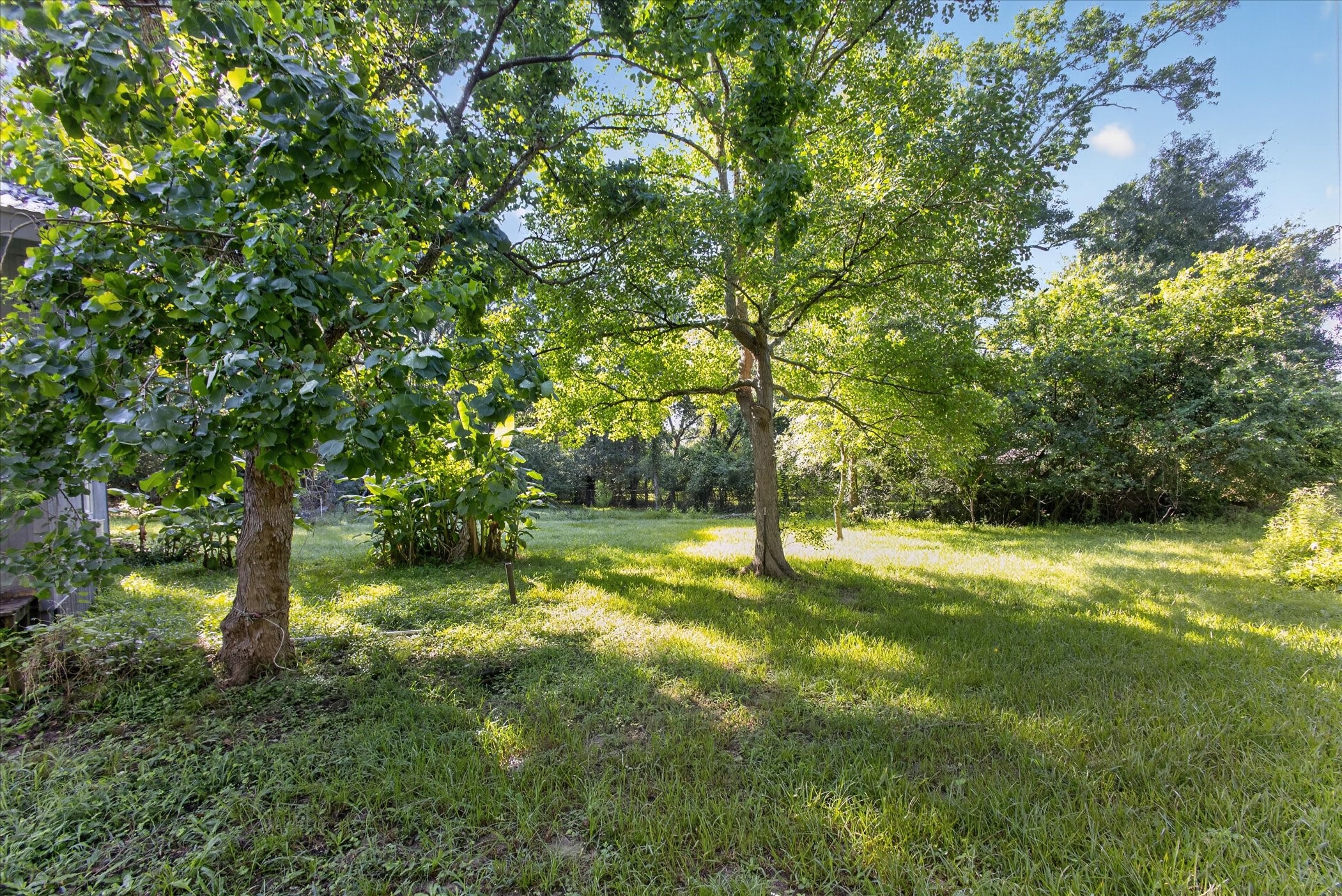 242 Bishop Property Photo 33