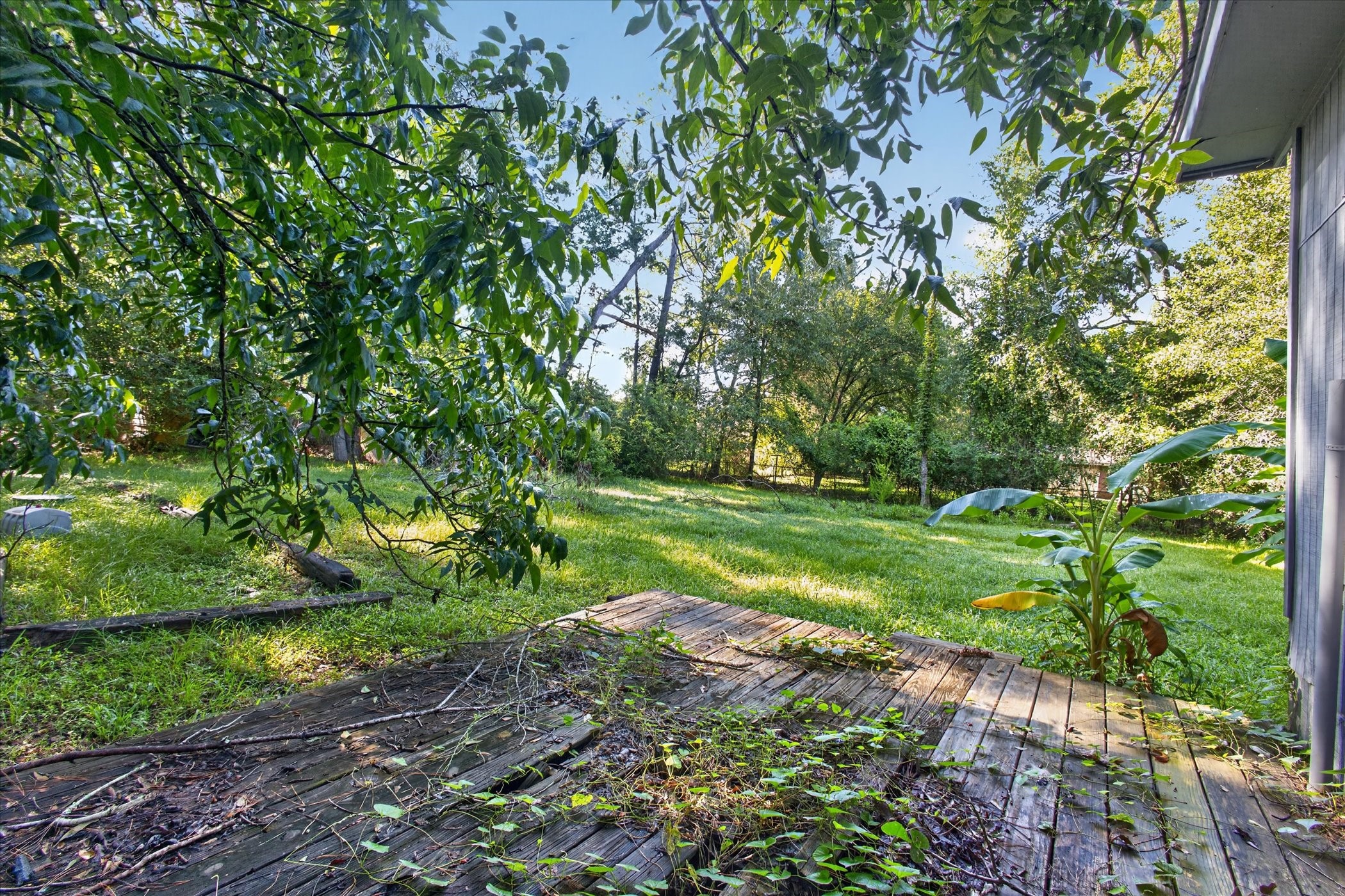 242 Bishop Property Photo 35