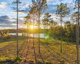 TBD Anna Grace Lot 35 Property Photo 1