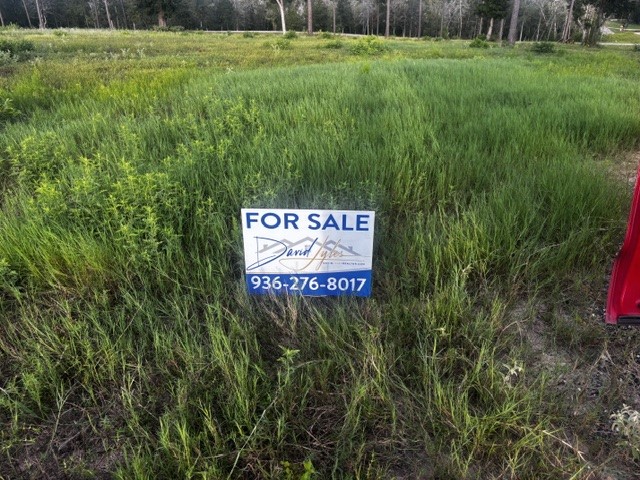 Tbd Anna Grace Lot 35 Property Photo 2