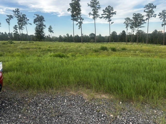 Tbd Anna Grace Lot 35 Property Photo 3