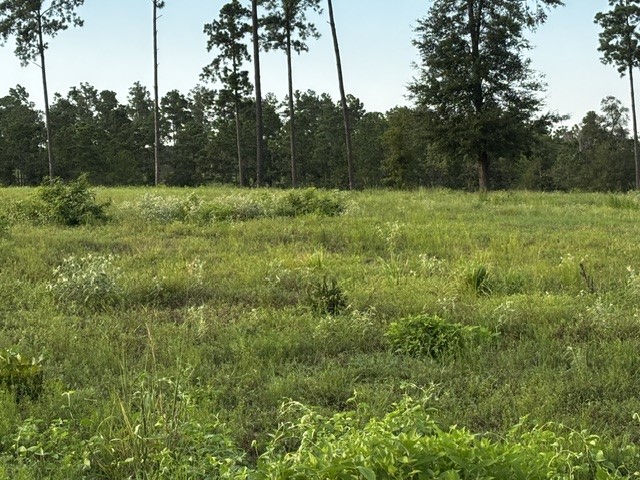 Tbd Anna Grace Lot 35 Property Photo 5