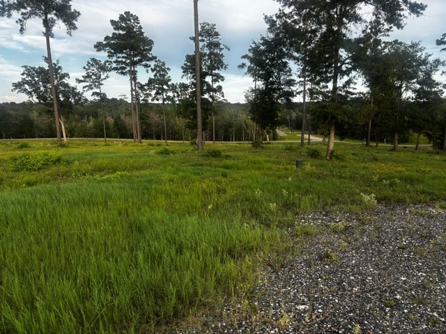 Tbd Anna Grace Lot 35 Property Photo 7