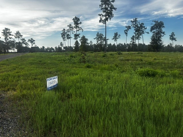 Tbd Anna Grace Lot 35 Property Photo 8