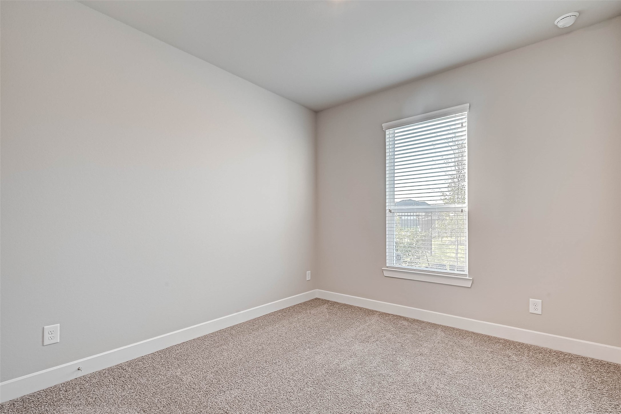 21543 Eads Creek Drive Property Photo 24