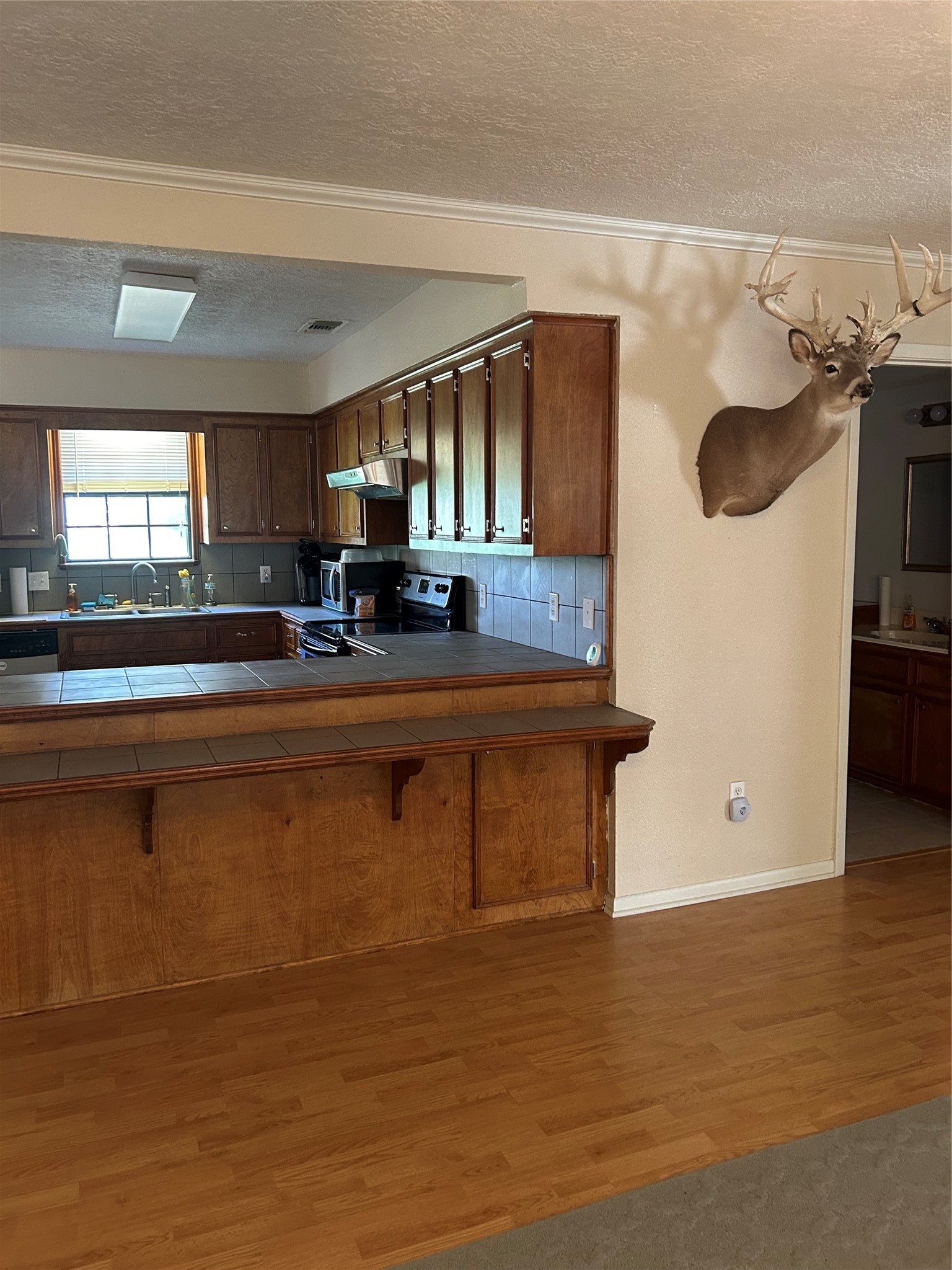 437 Gov Wood Drive Property Photo 9