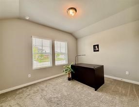 6415 Brazos Trail Drive Property Photo 17