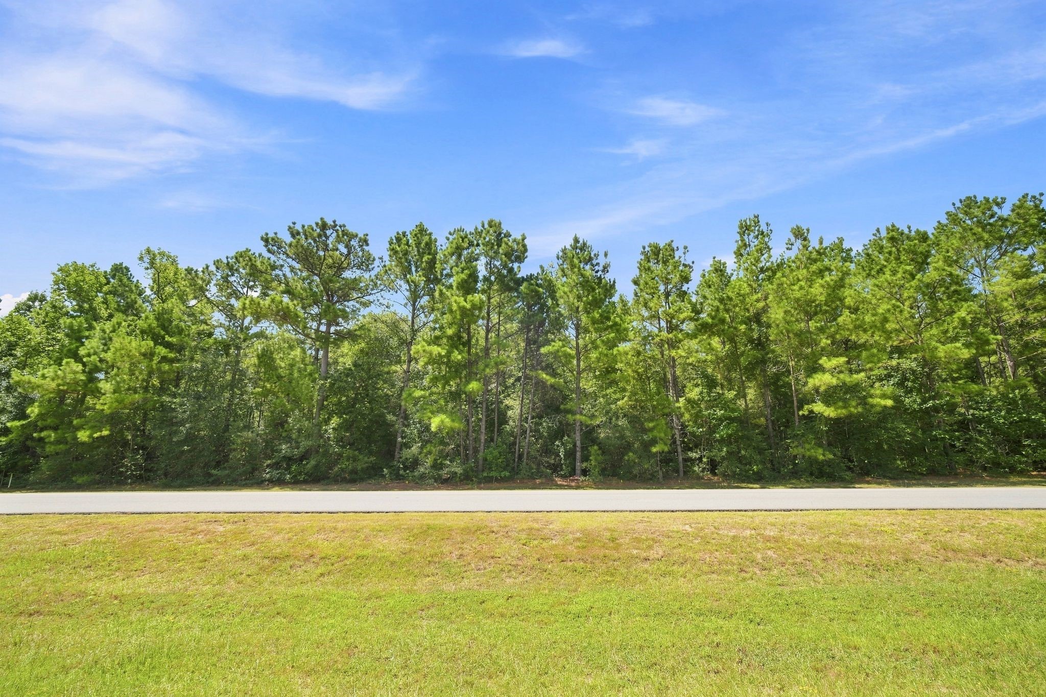26063 Crown Ranch Boulevard Property Photo 6