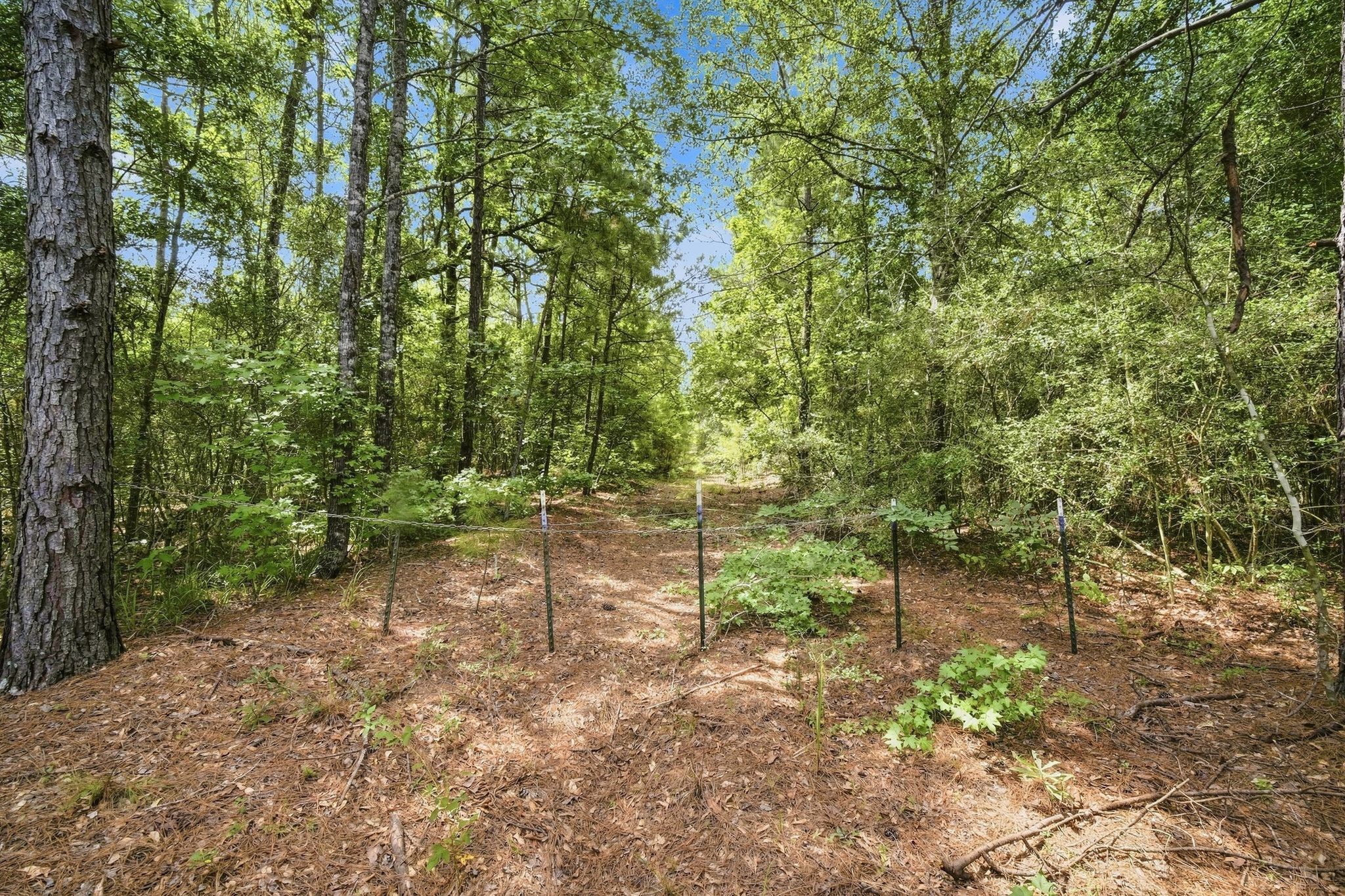 26063 Crown Ranch Boulevard Property Photo 8