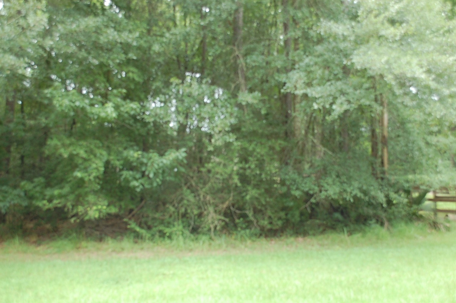 25 Firewood Road Property Photo 2